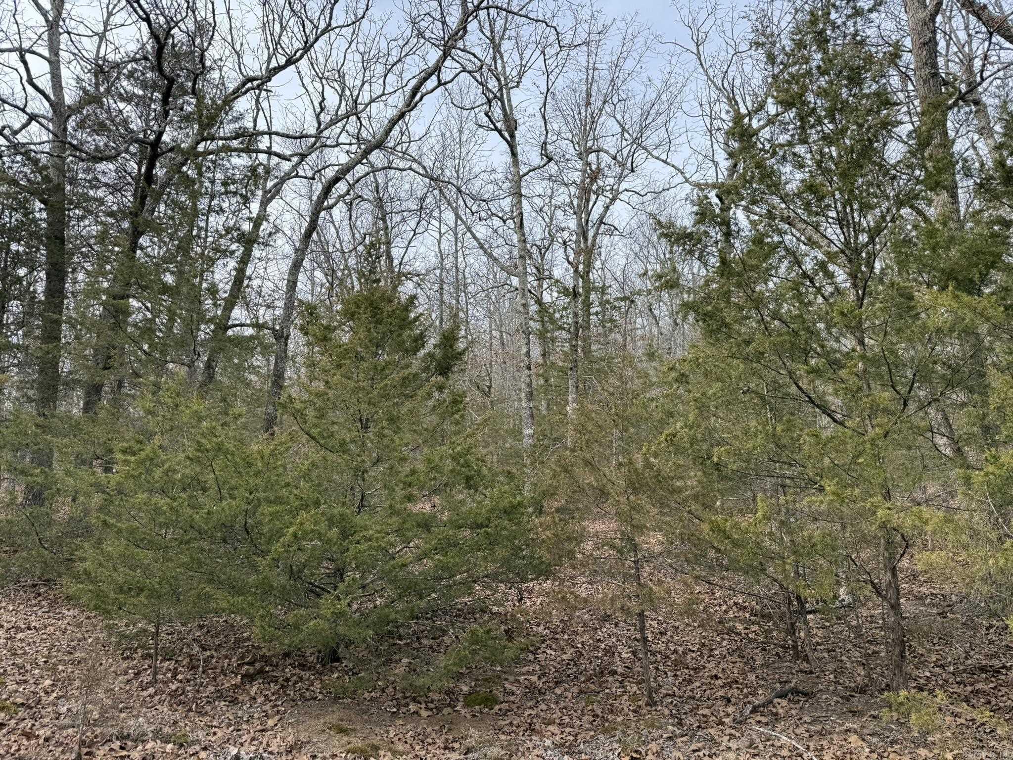 2495 E 74  Marshall, AR