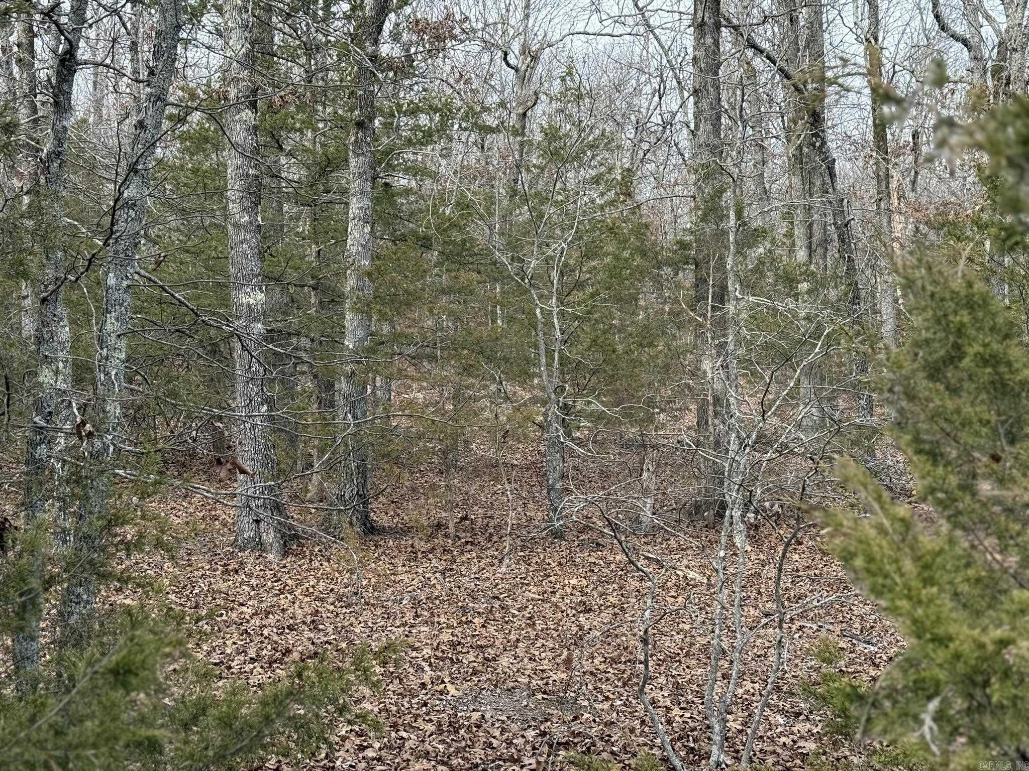 2495 E 74  Marshall, AR