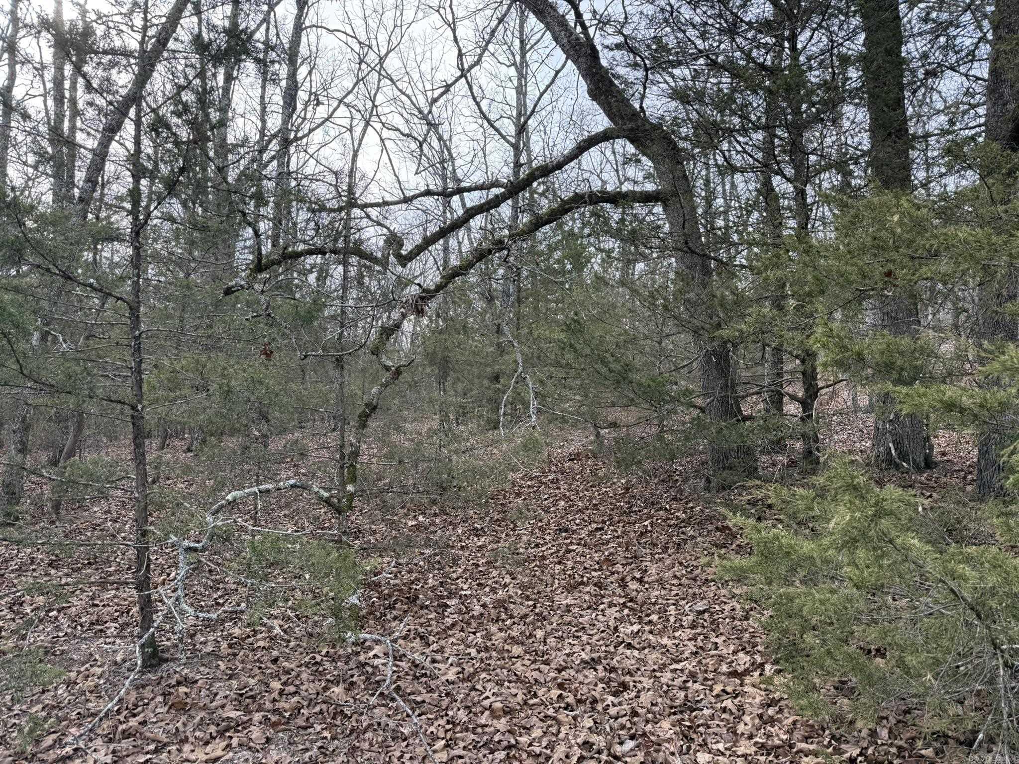 2495 E 74  Marshall, AR