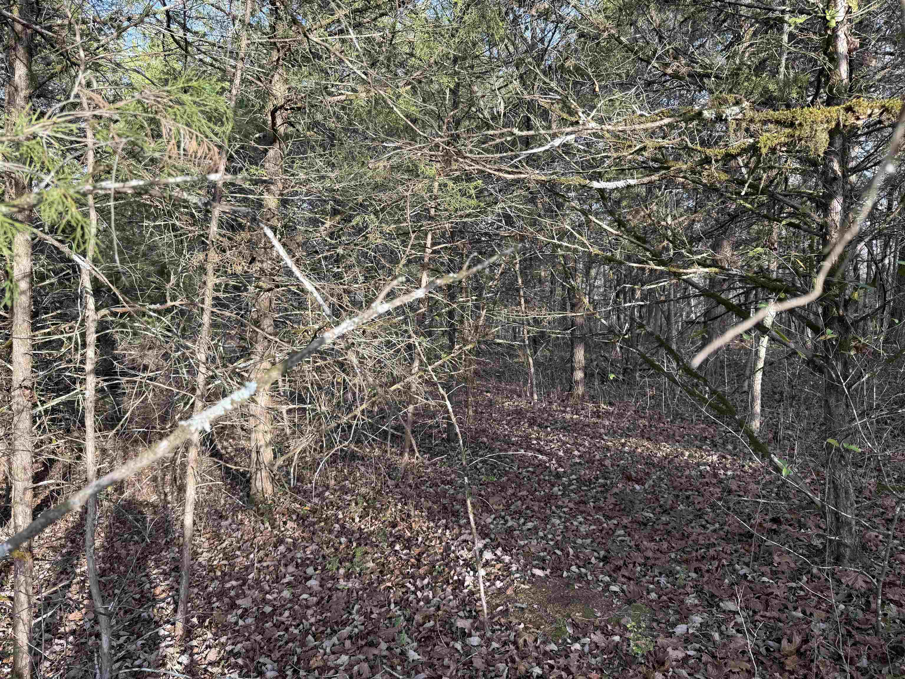 4 Golf Course Area Lots  Cherokee Village, AR