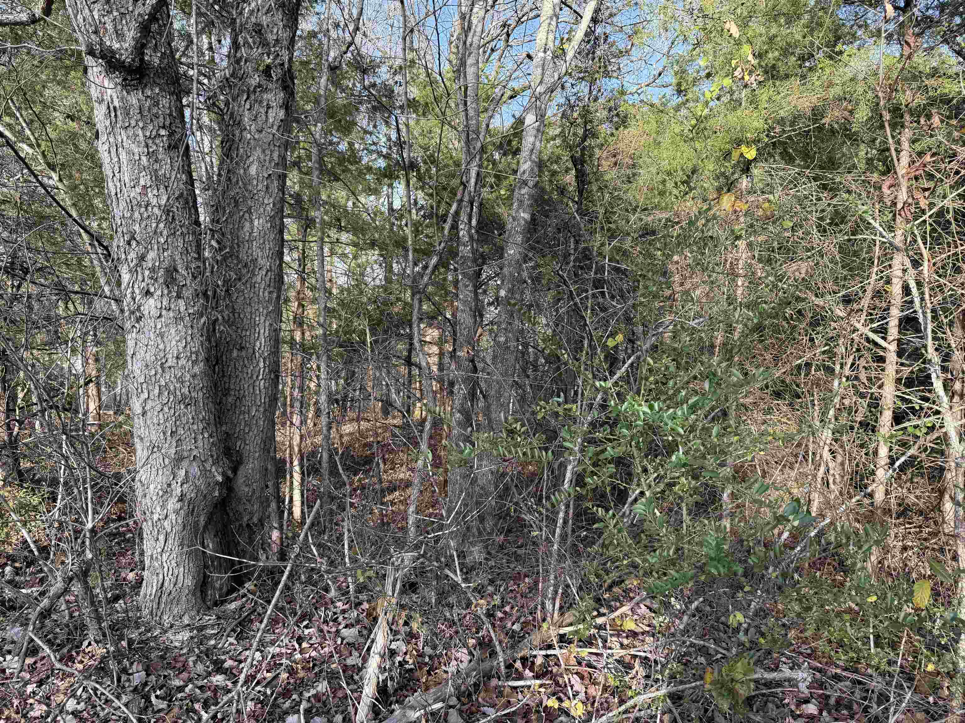 4 Golf Course Area Lots  Cherokee Village, AR