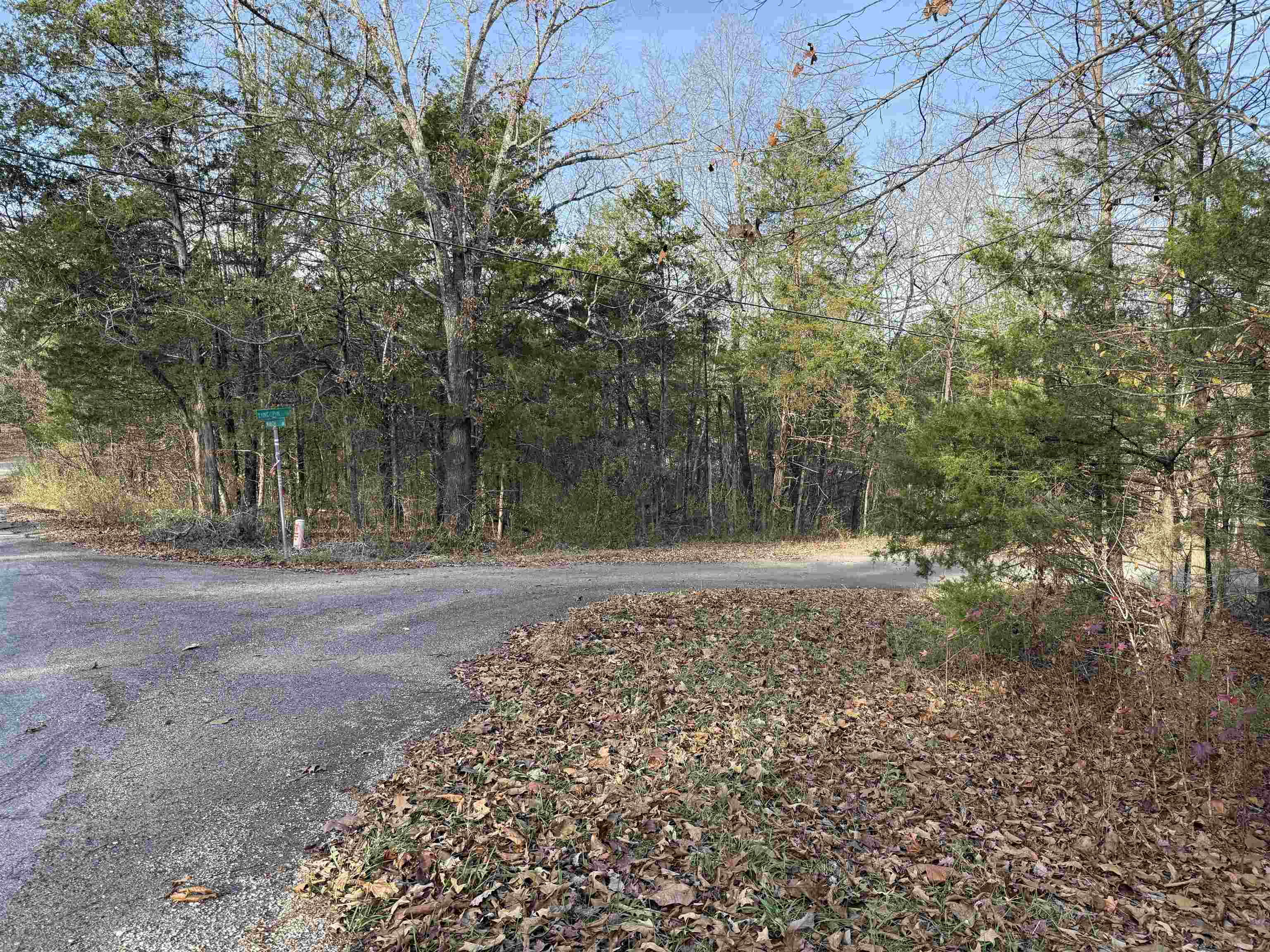 4 Golf Course Area Lots  Cherokee Village, AR