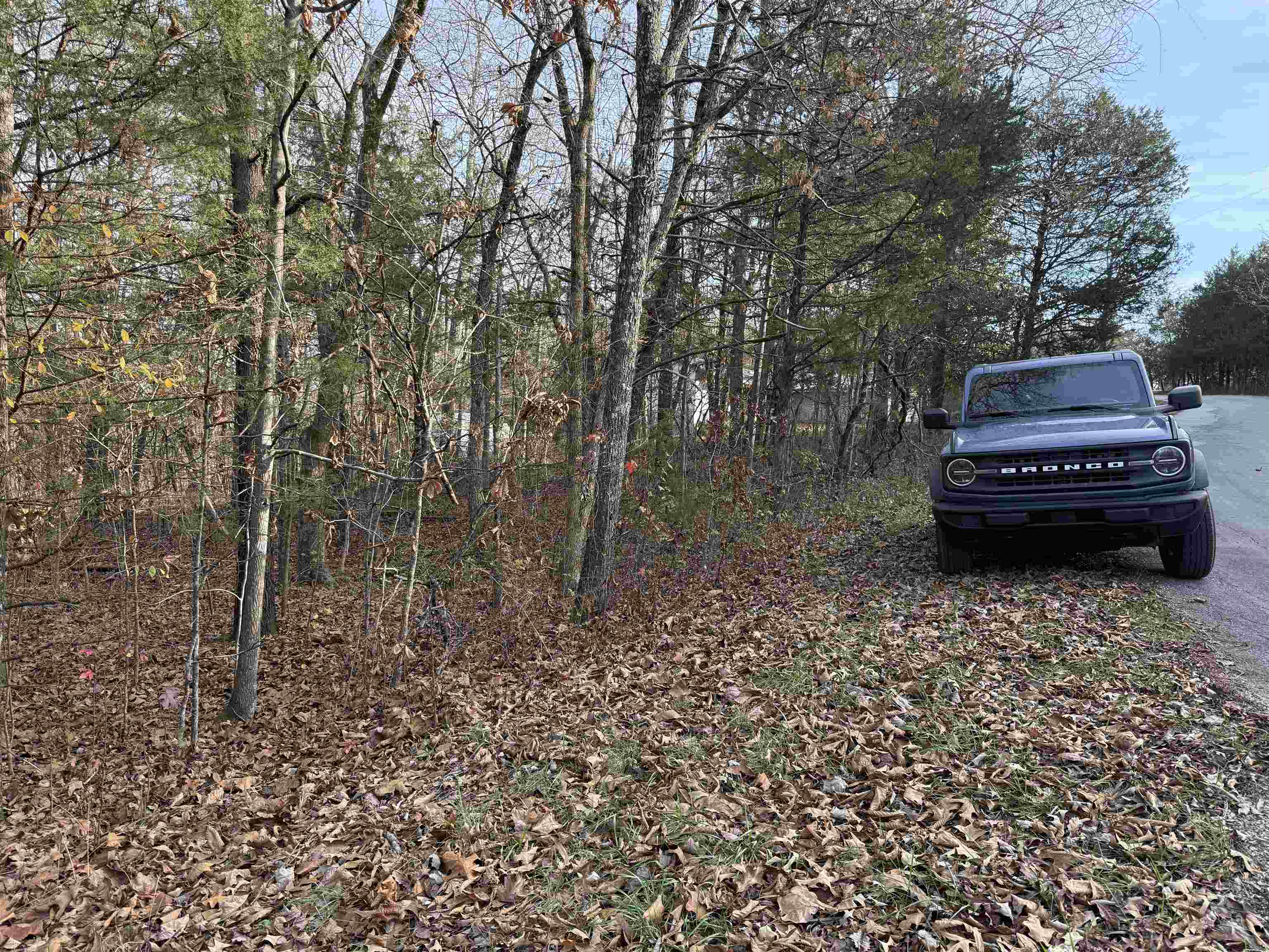 4 Golf Course Area Lots  Cherokee Village, AR