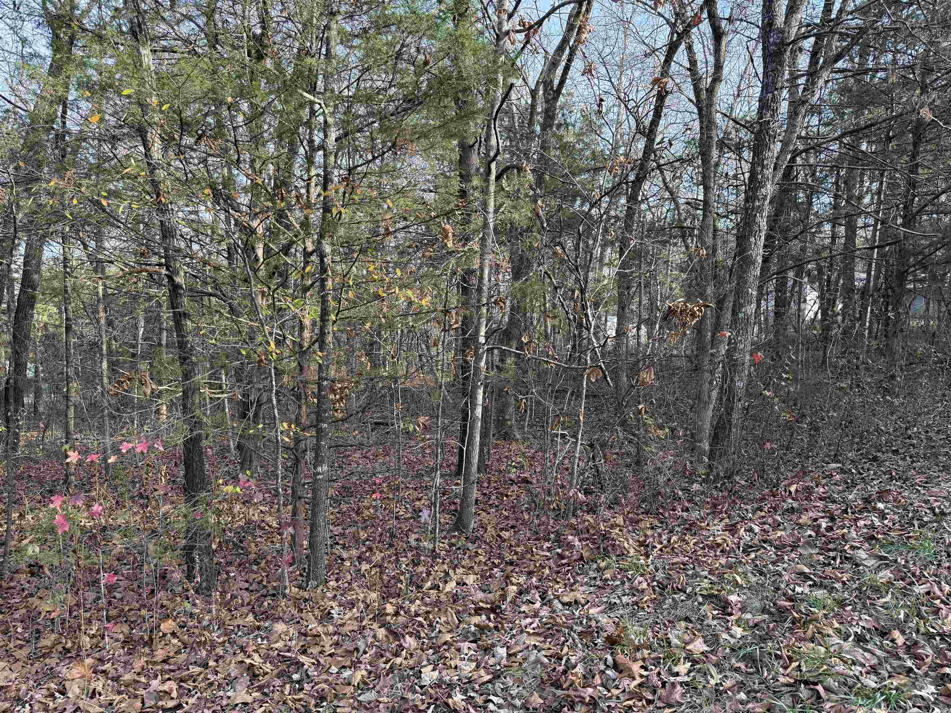 4 Golf Course Area Lots  Cherokee Village, AR