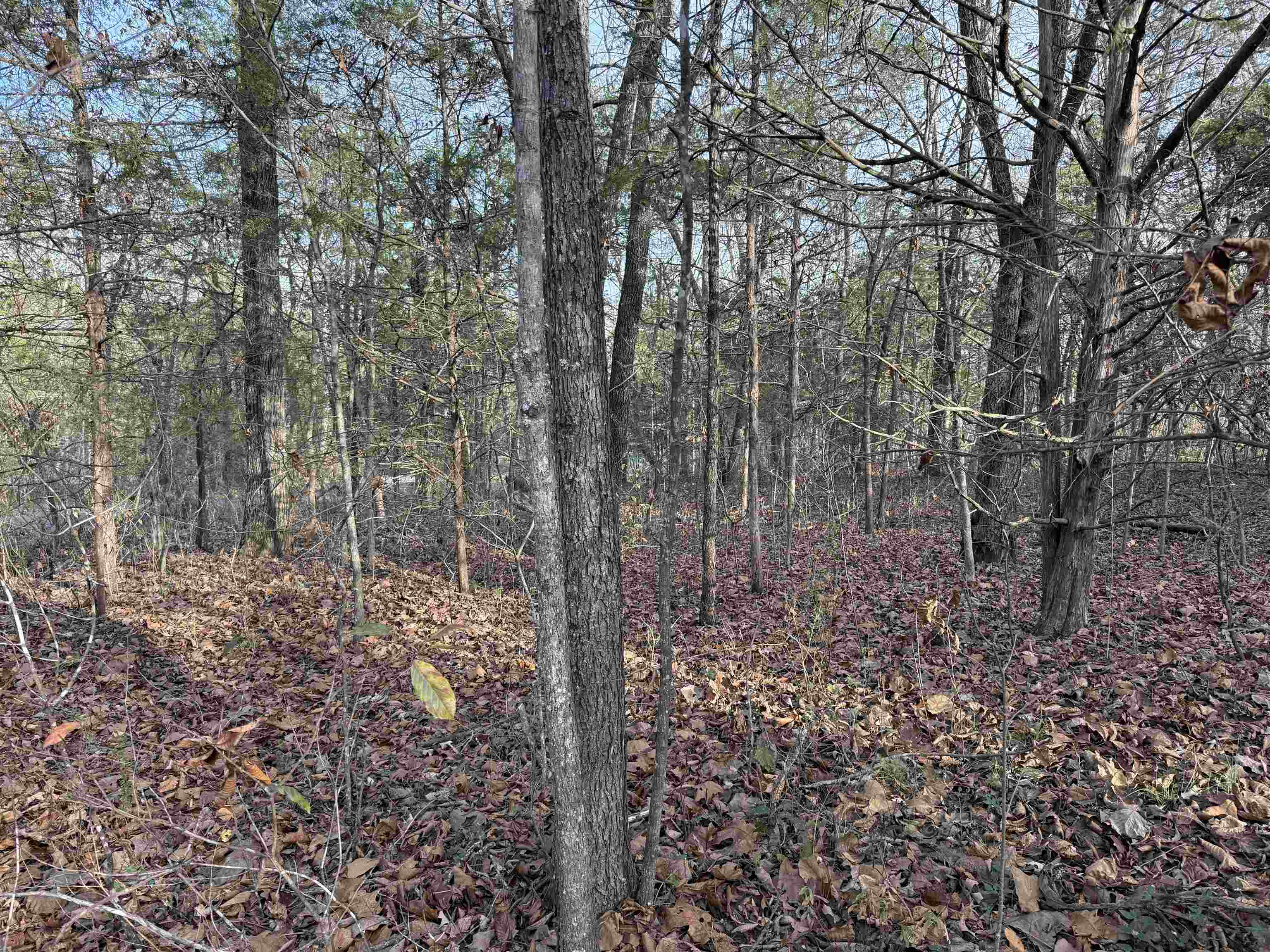 4 Golf Course Area Lots  Cherokee Village, AR