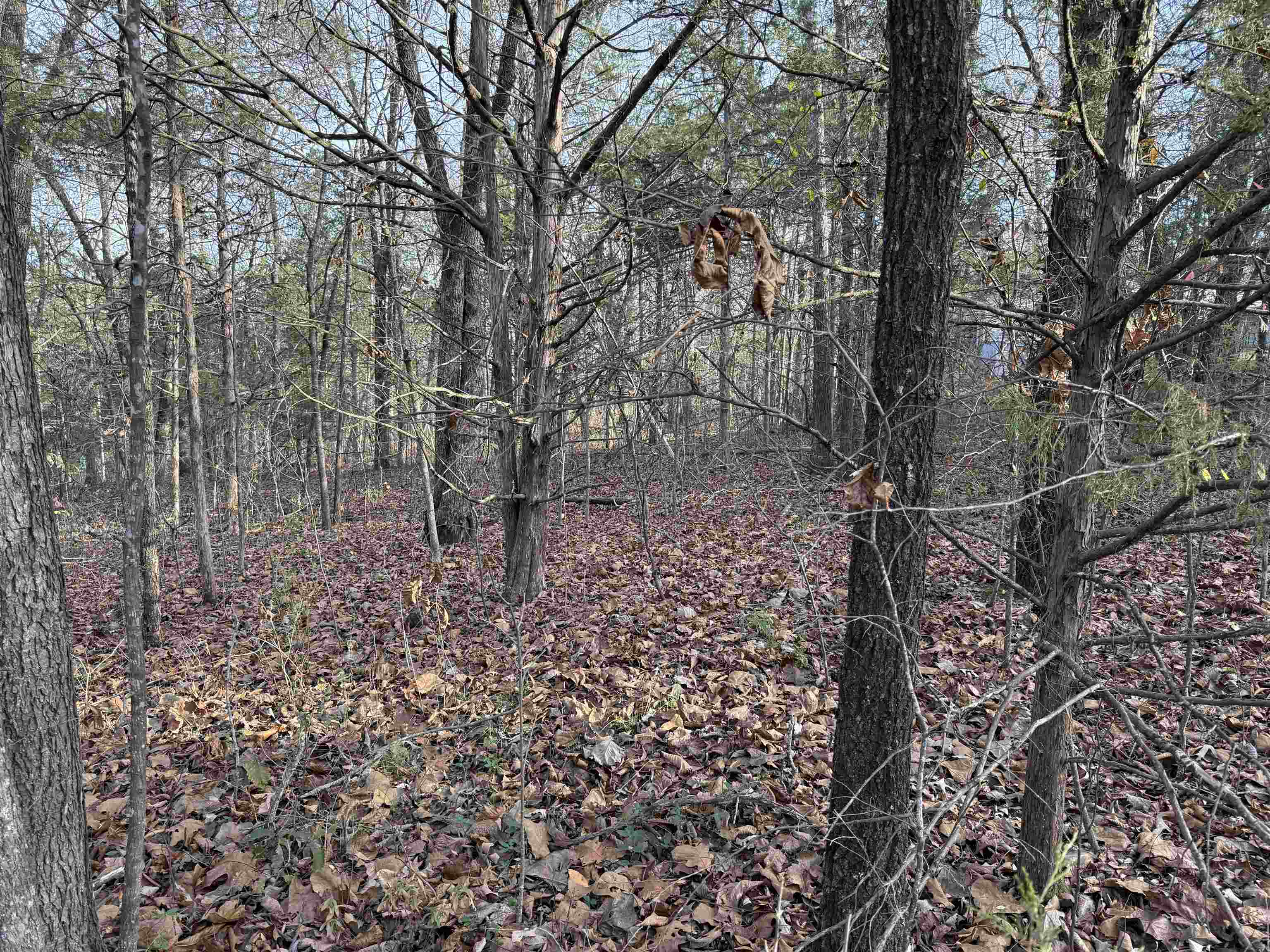 4 Golf Course Area Lots  Cherokee Village, AR