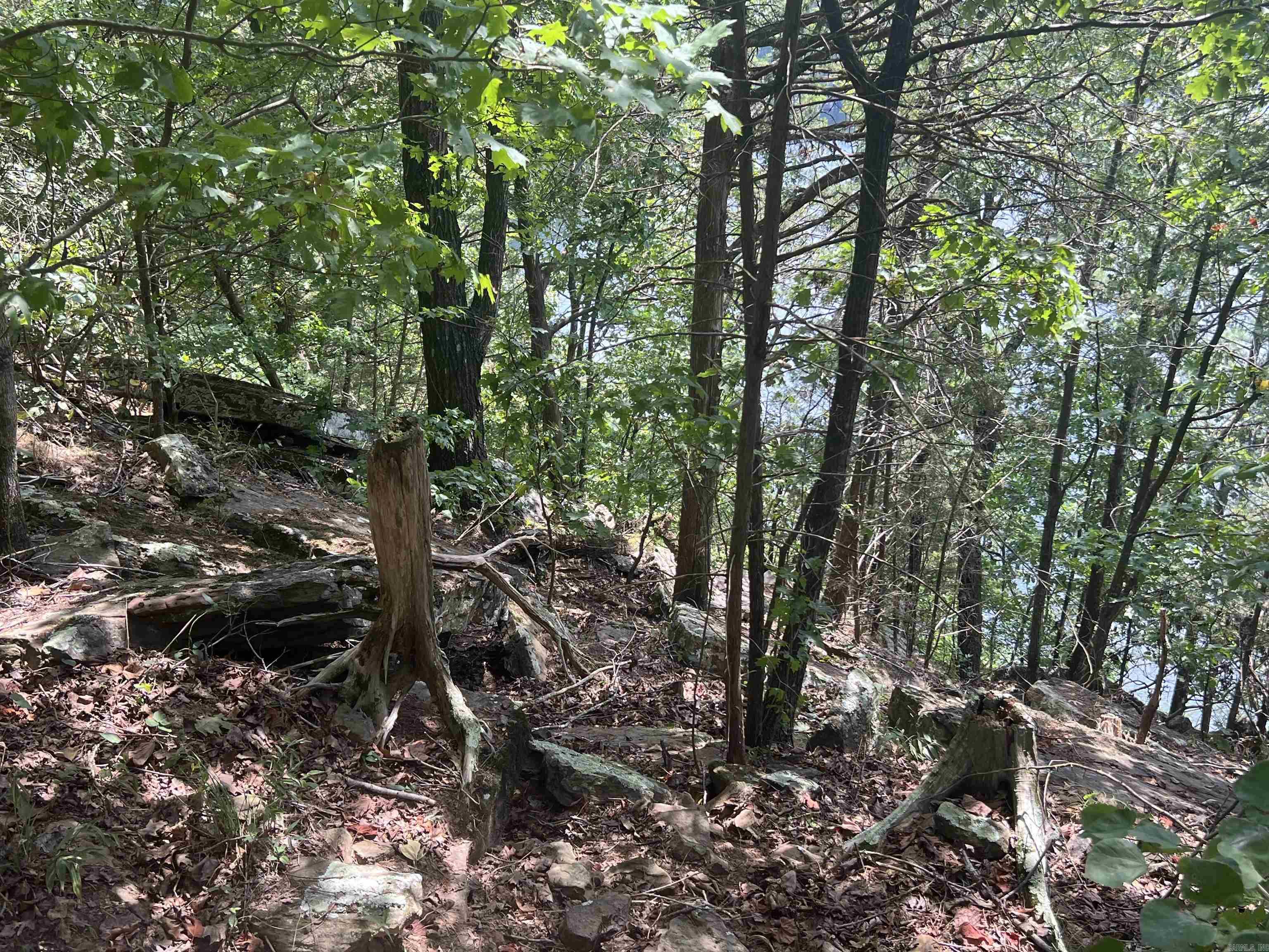 4492 D Burnt Ridge Rd  Shirley, AR