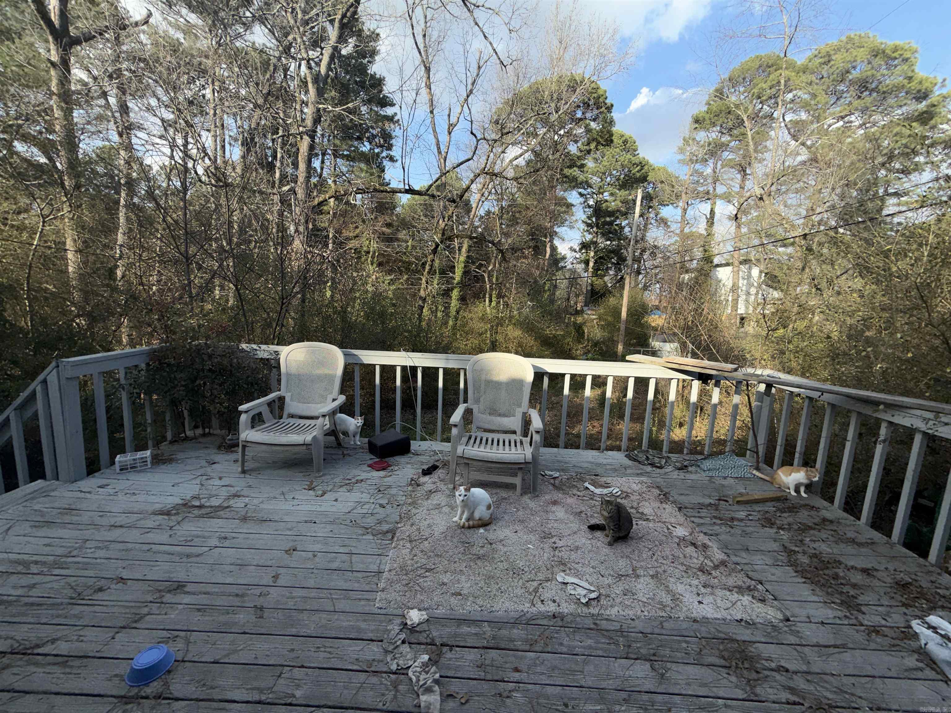 29 Barbara  Little Rock, AR