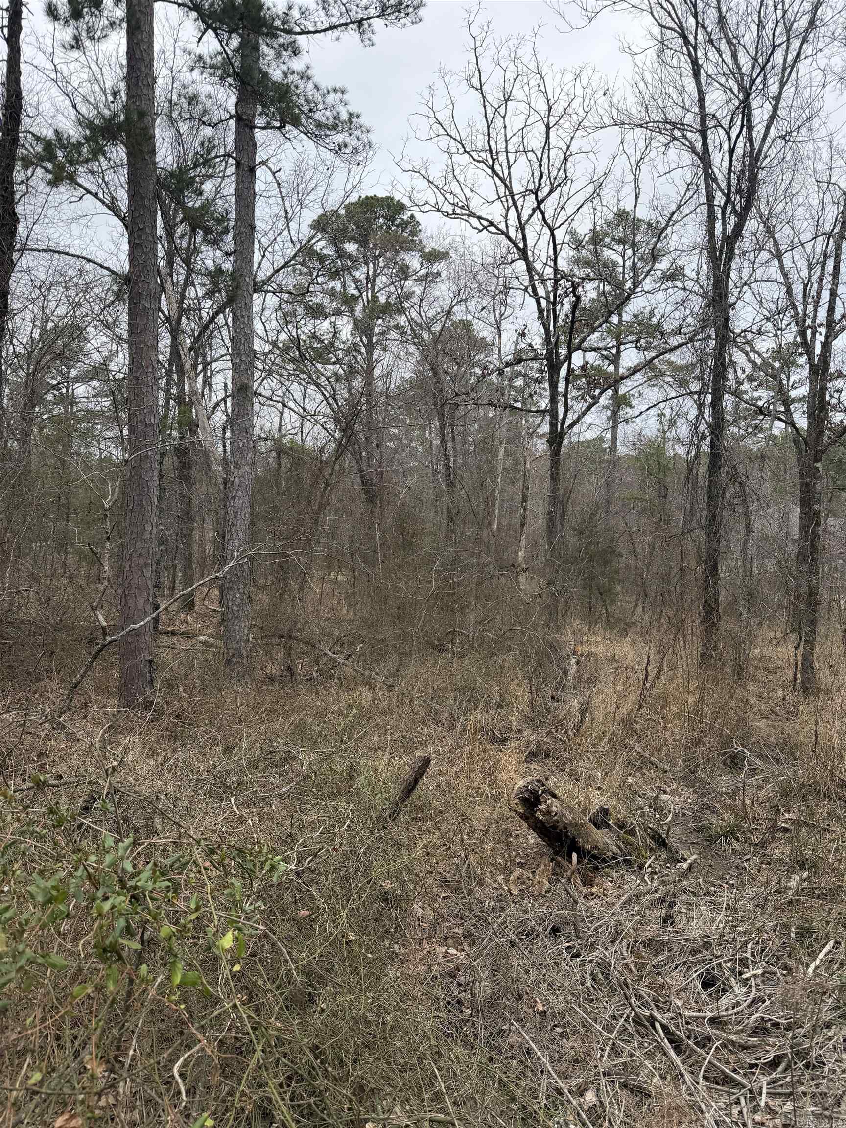 TBD San Juan Way  Hot Springs Village, AR