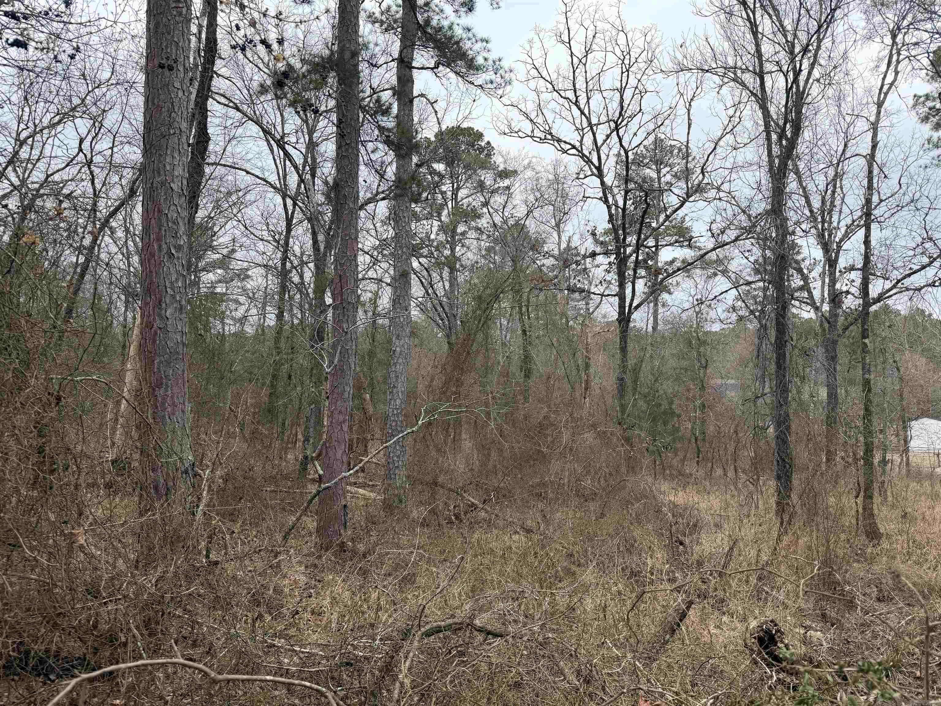 TBD San Juan Way  Hot Springs Village, AR