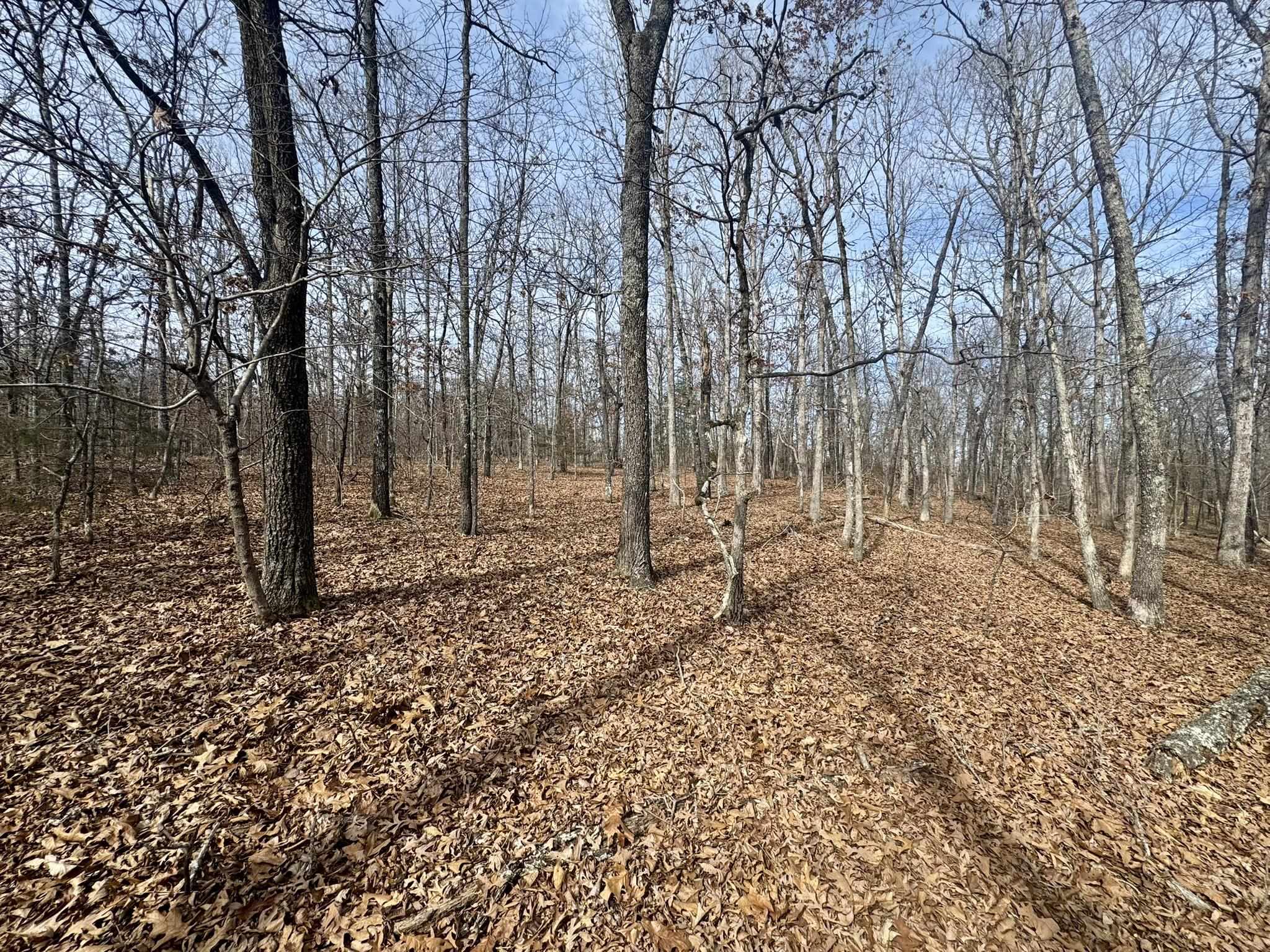 0 Barnes Road  Evening Shade, AR