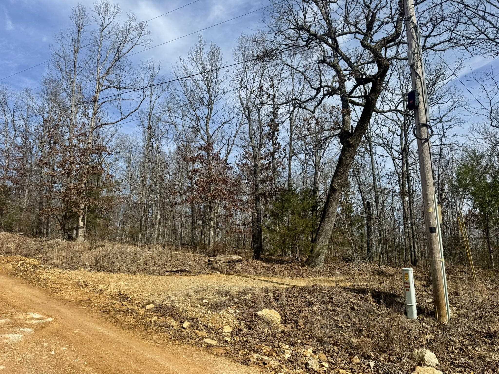 0 Barnes Road  Evening Shade, AR