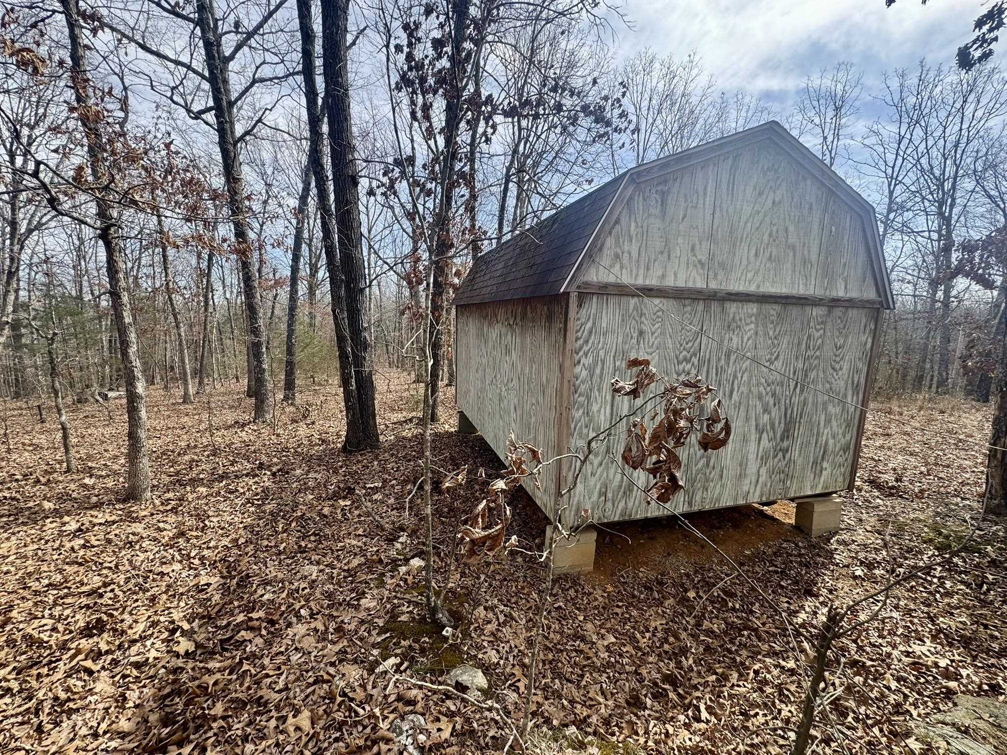 0 Barnes Road  Evening Shade, AR