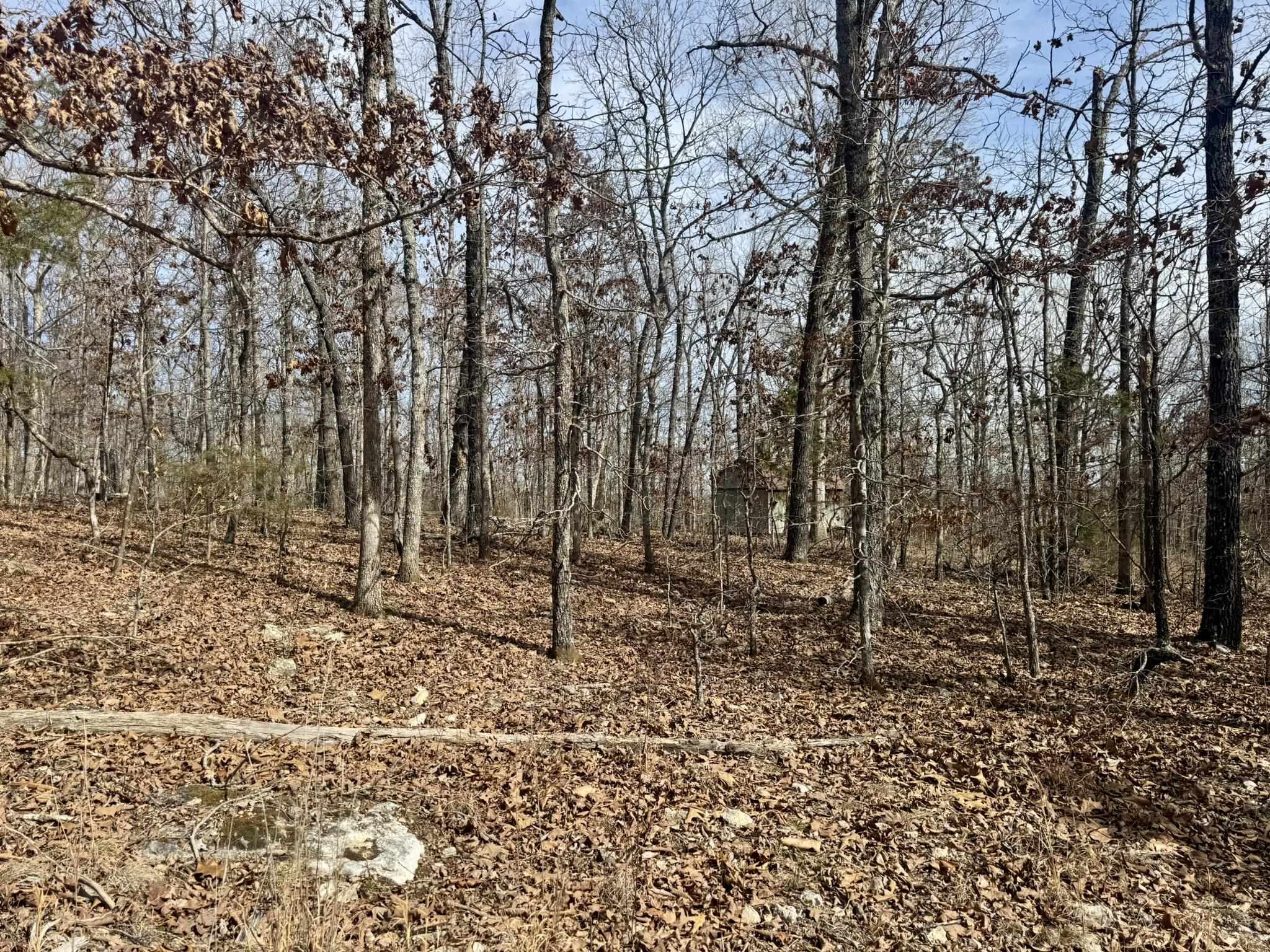 0 Barnes Road  Evening Shade, AR