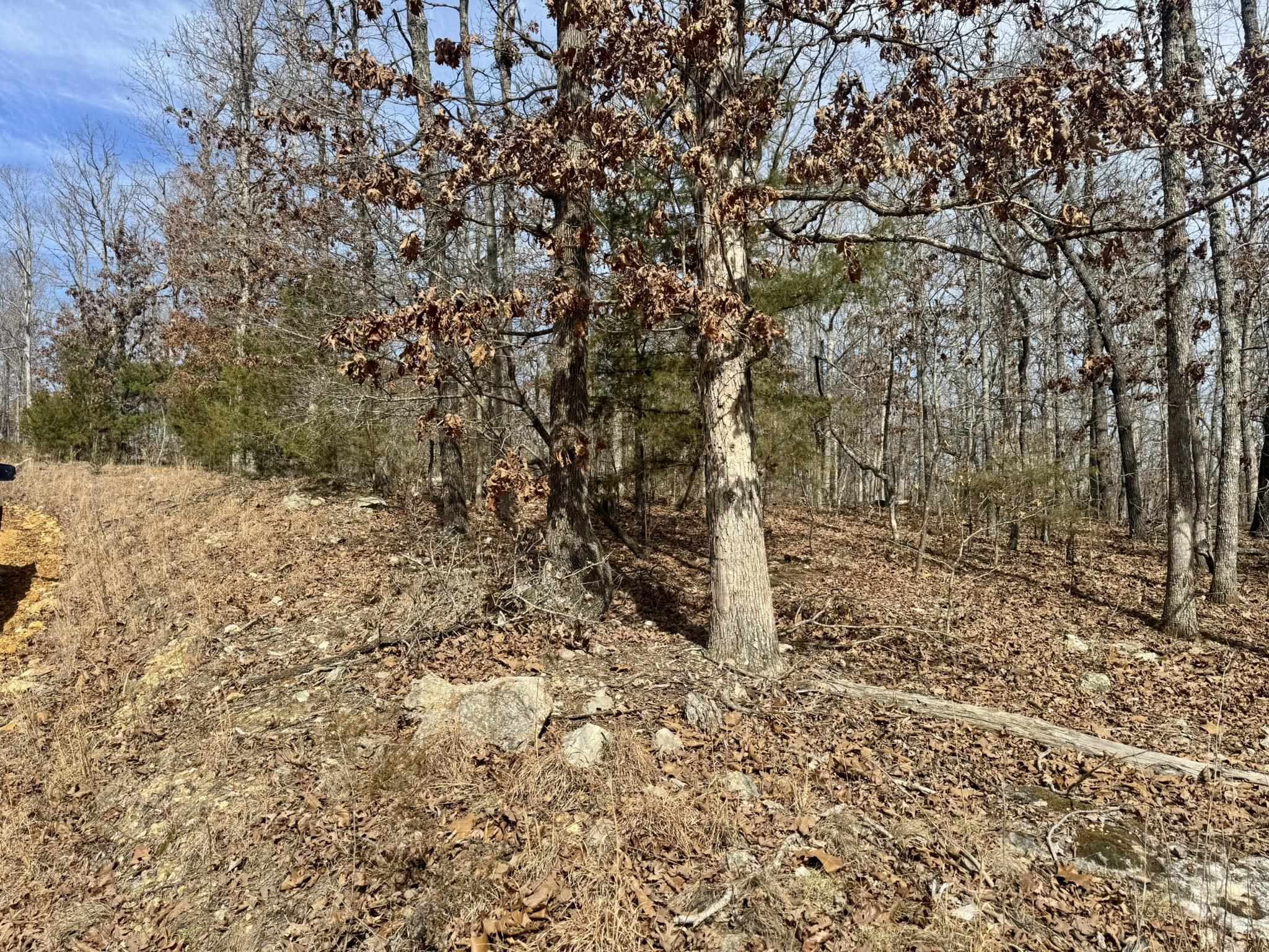 0 Barnes Road  Evening Shade, AR