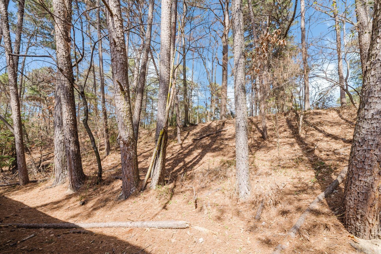 5 Roane  Little Rock, AR