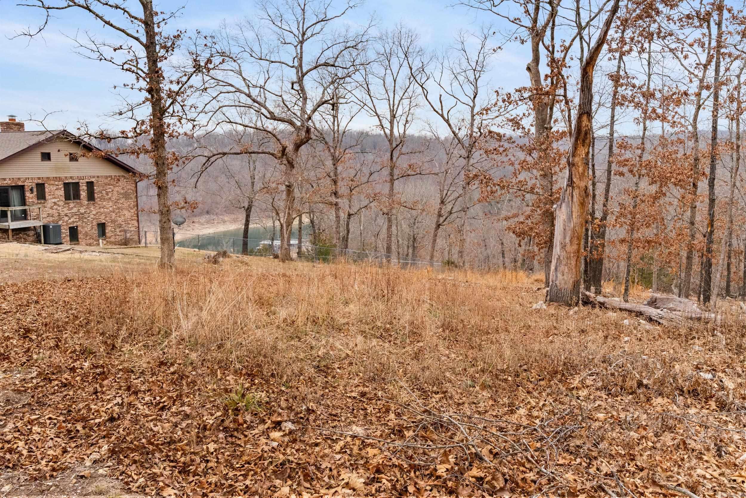 Lot 20 Belle Cove Road  Mountain Home, AR