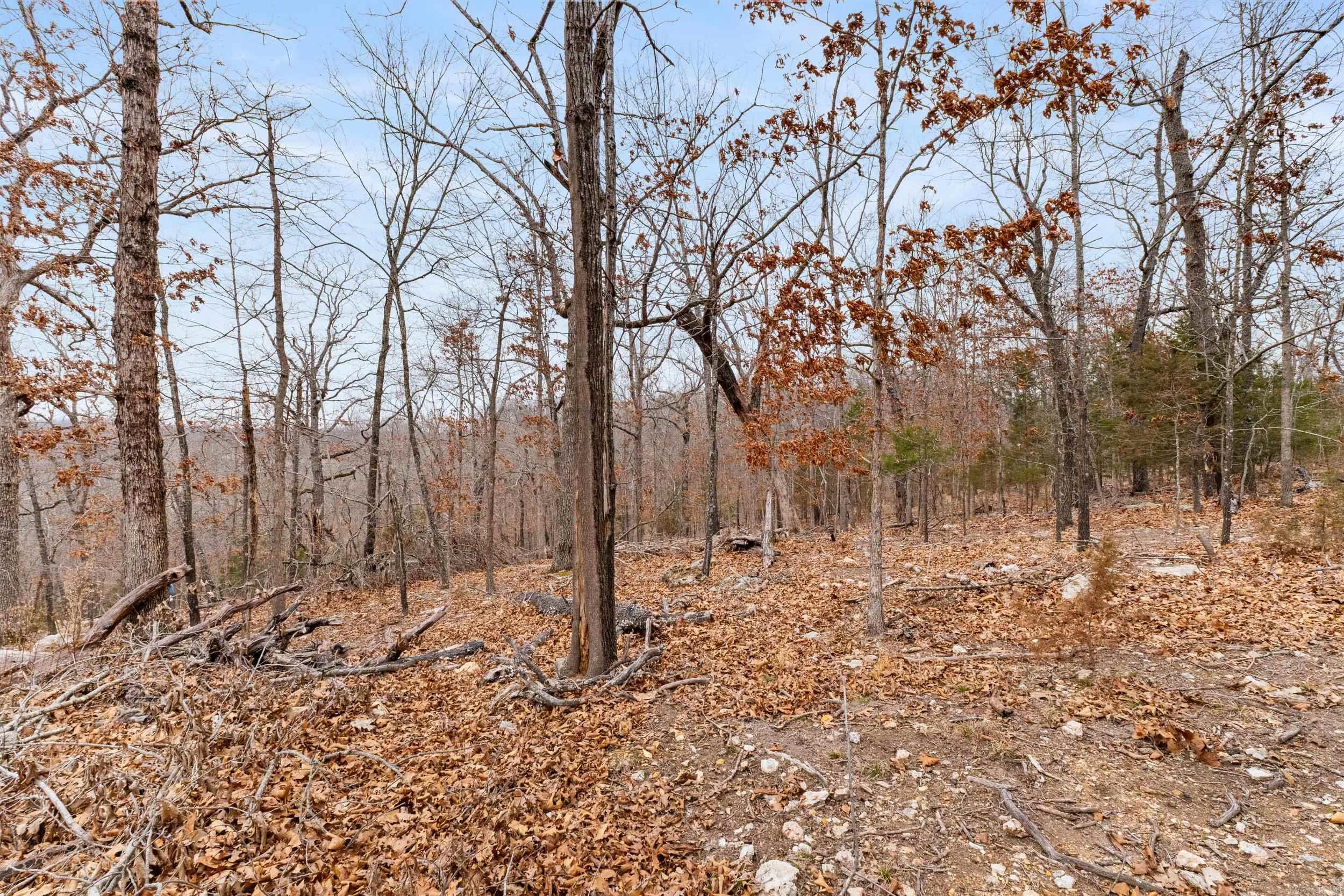 Lot 20 Belle Cove Road  Mountain Home, AR
