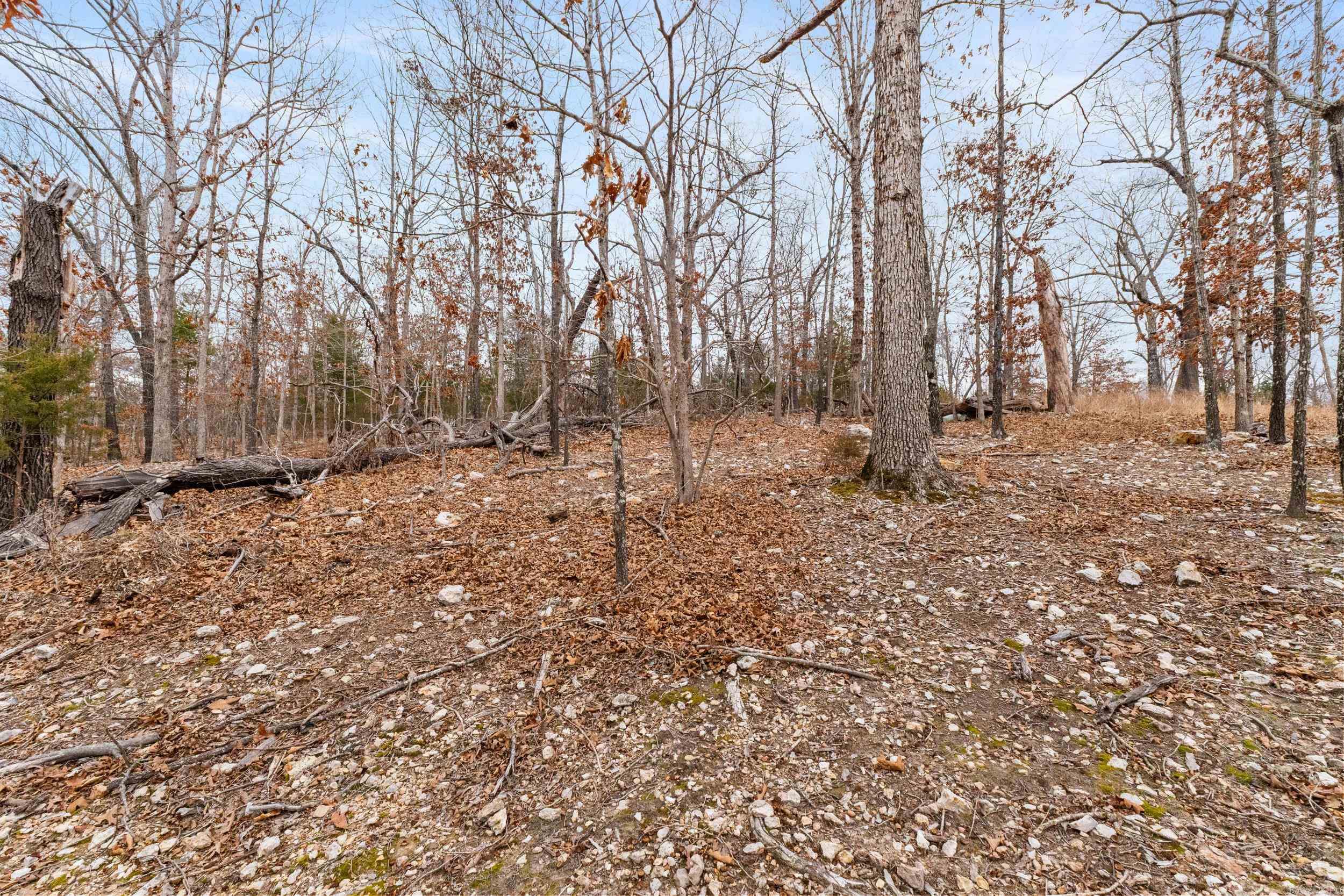 Lot 20 Belle Cove Road  Mountain Home, AR