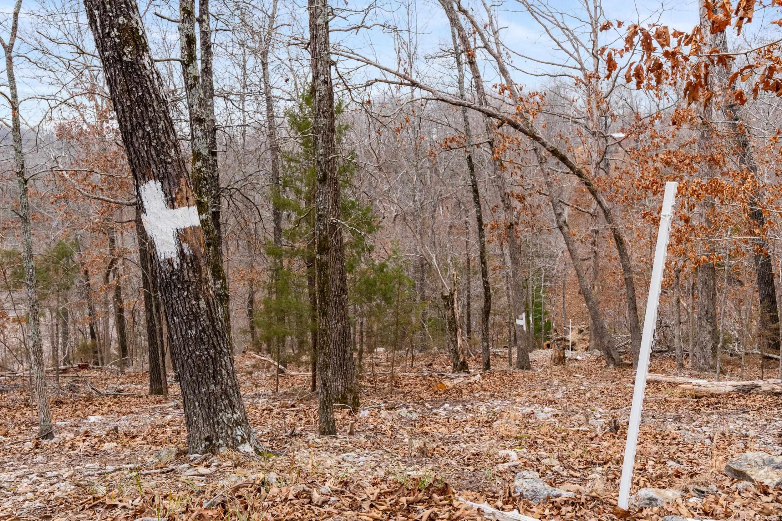 Lot 20 Belle Cove Road  Mountain Home, AR