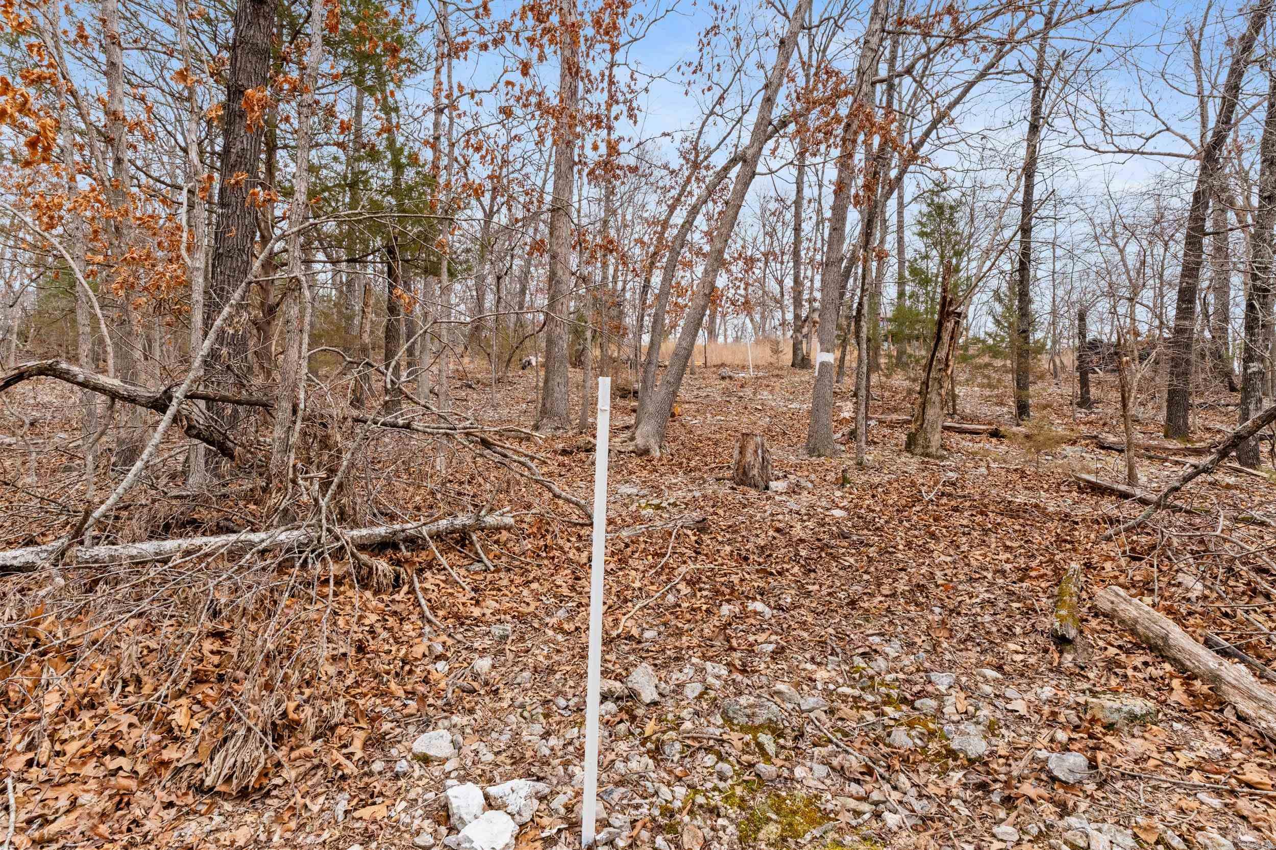 Lot 20 Belle Cove Road  Mountain Home, AR