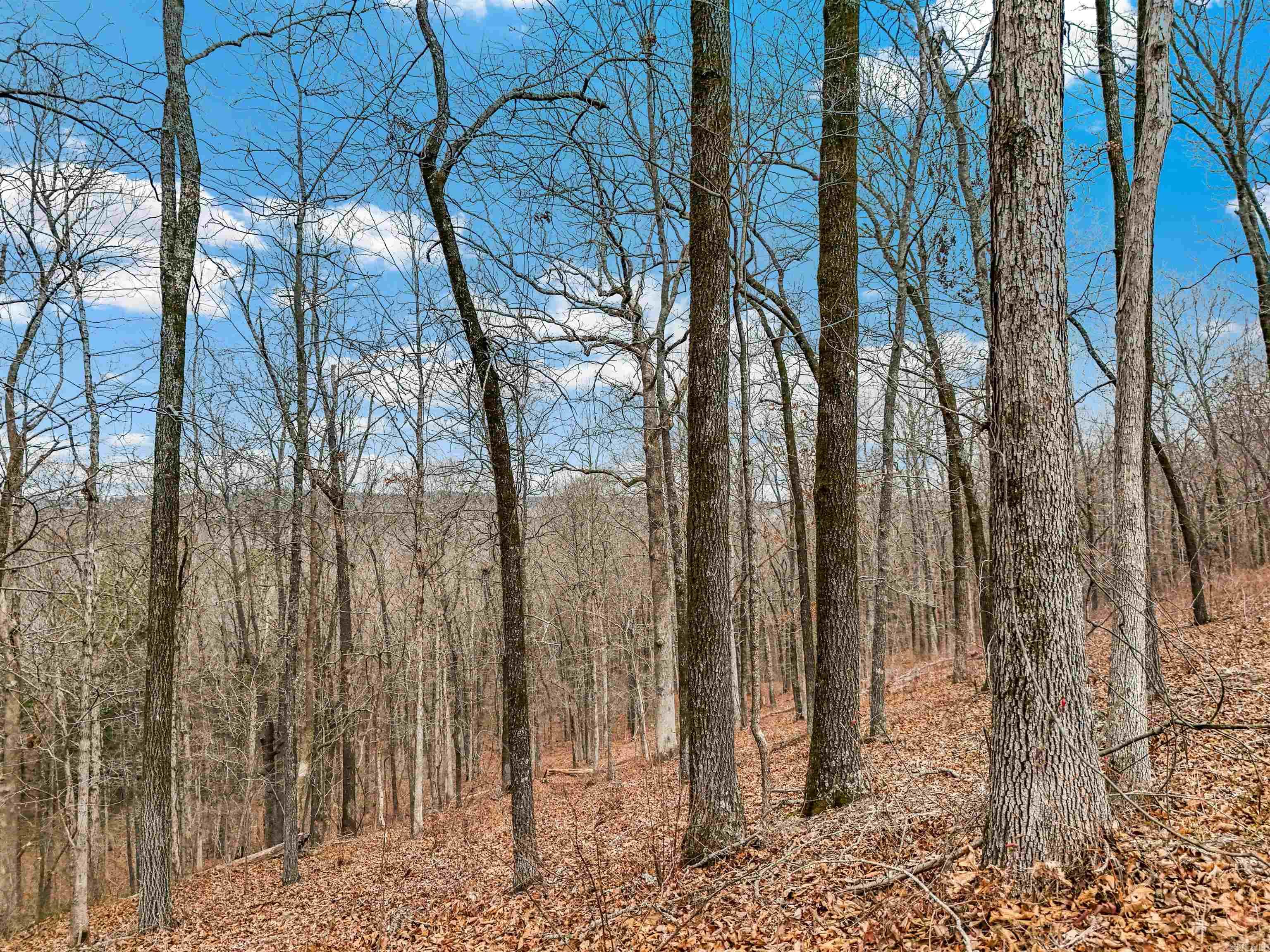 21 Ridgefield  Vilonia, AR