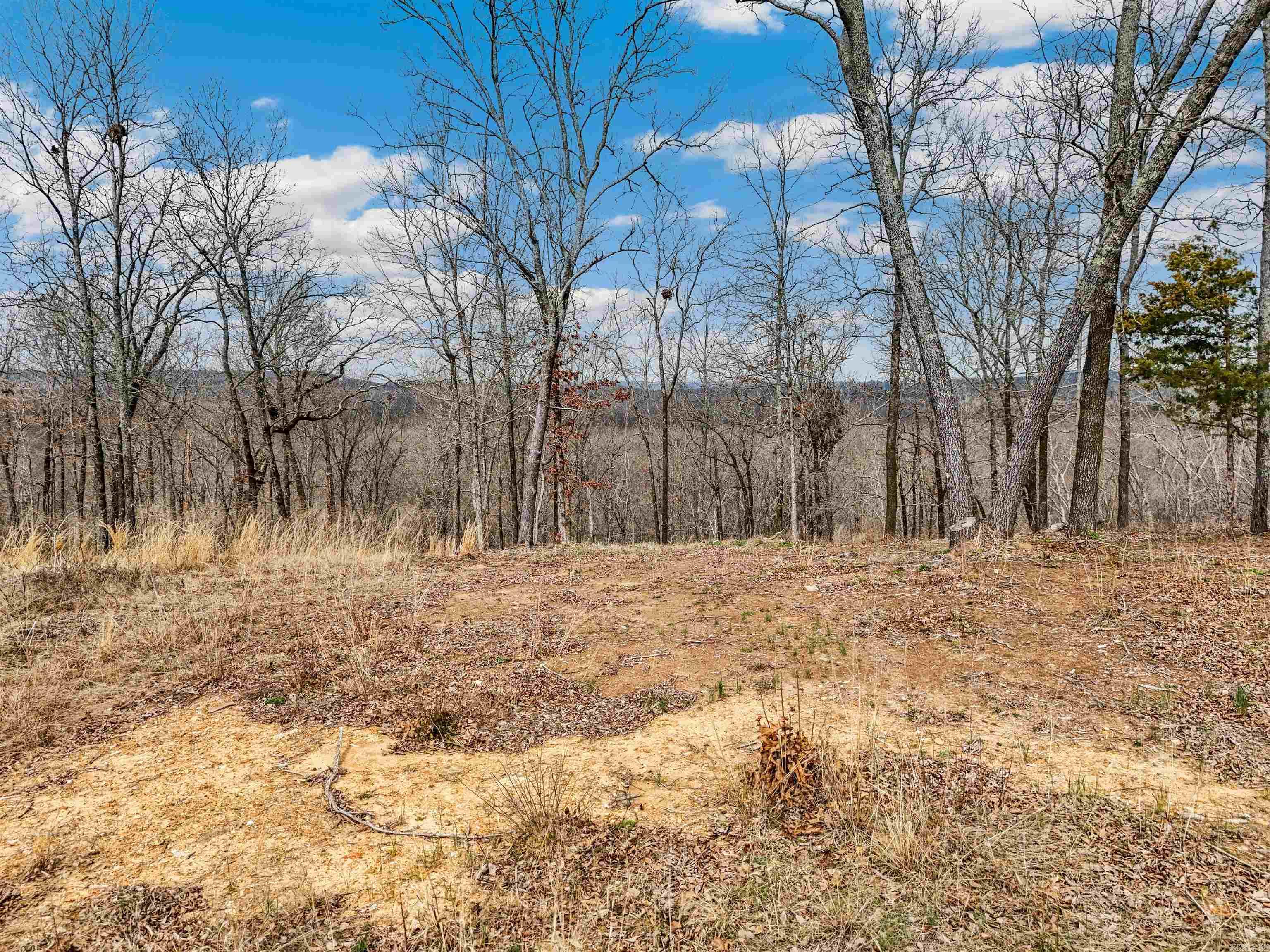 21 Ridgefield  Vilonia, AR