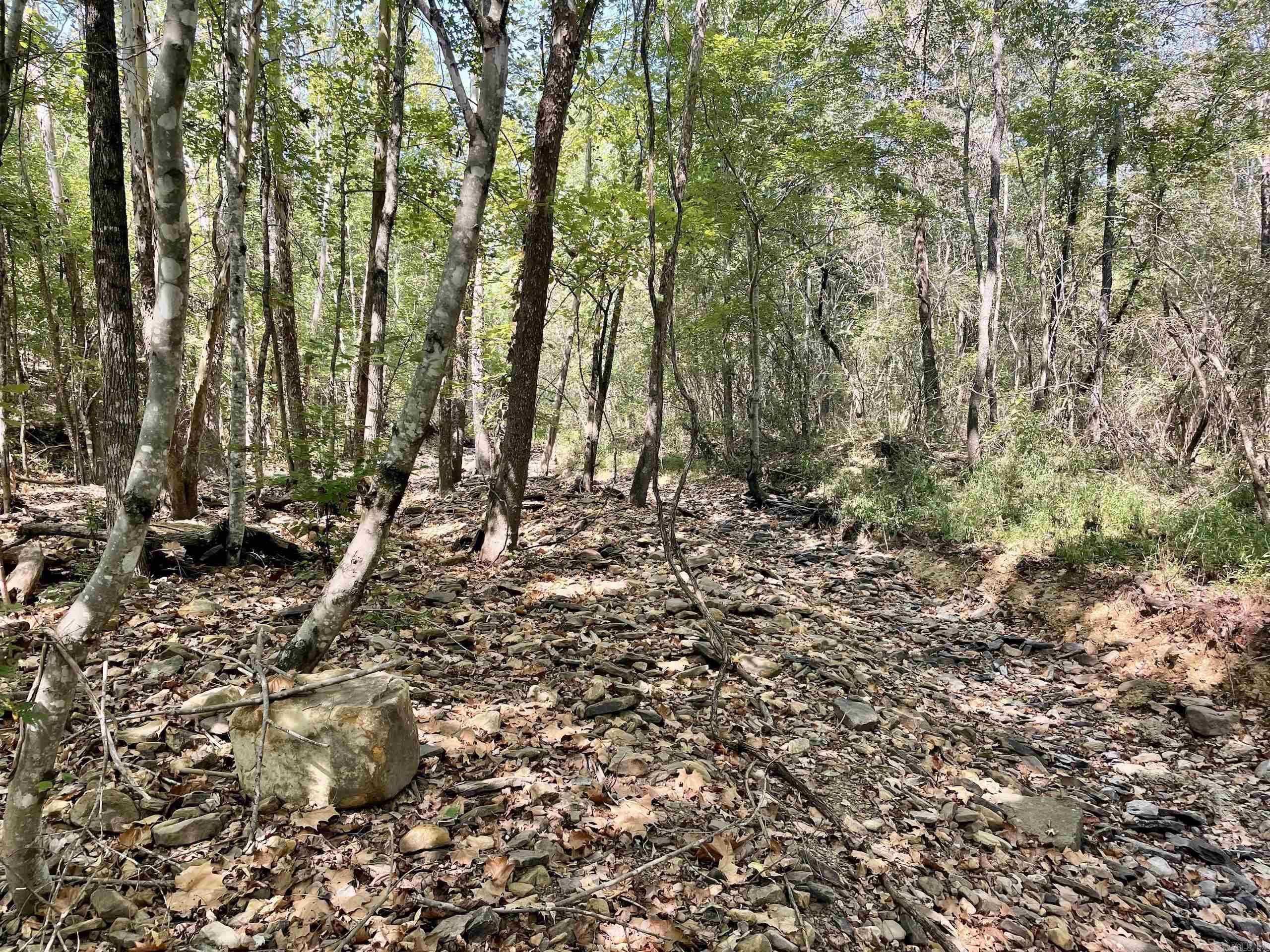 001 Brownsville Road  Higden, AR