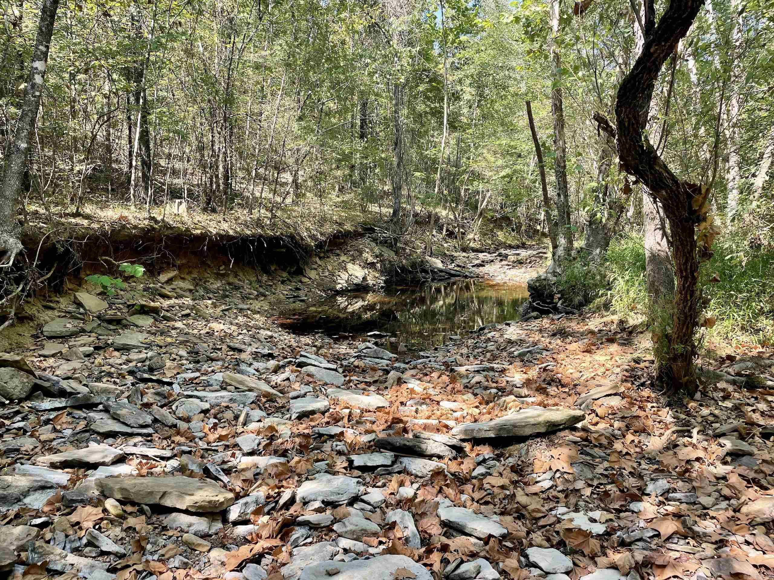 001 Brownsville Road  Higden, AR