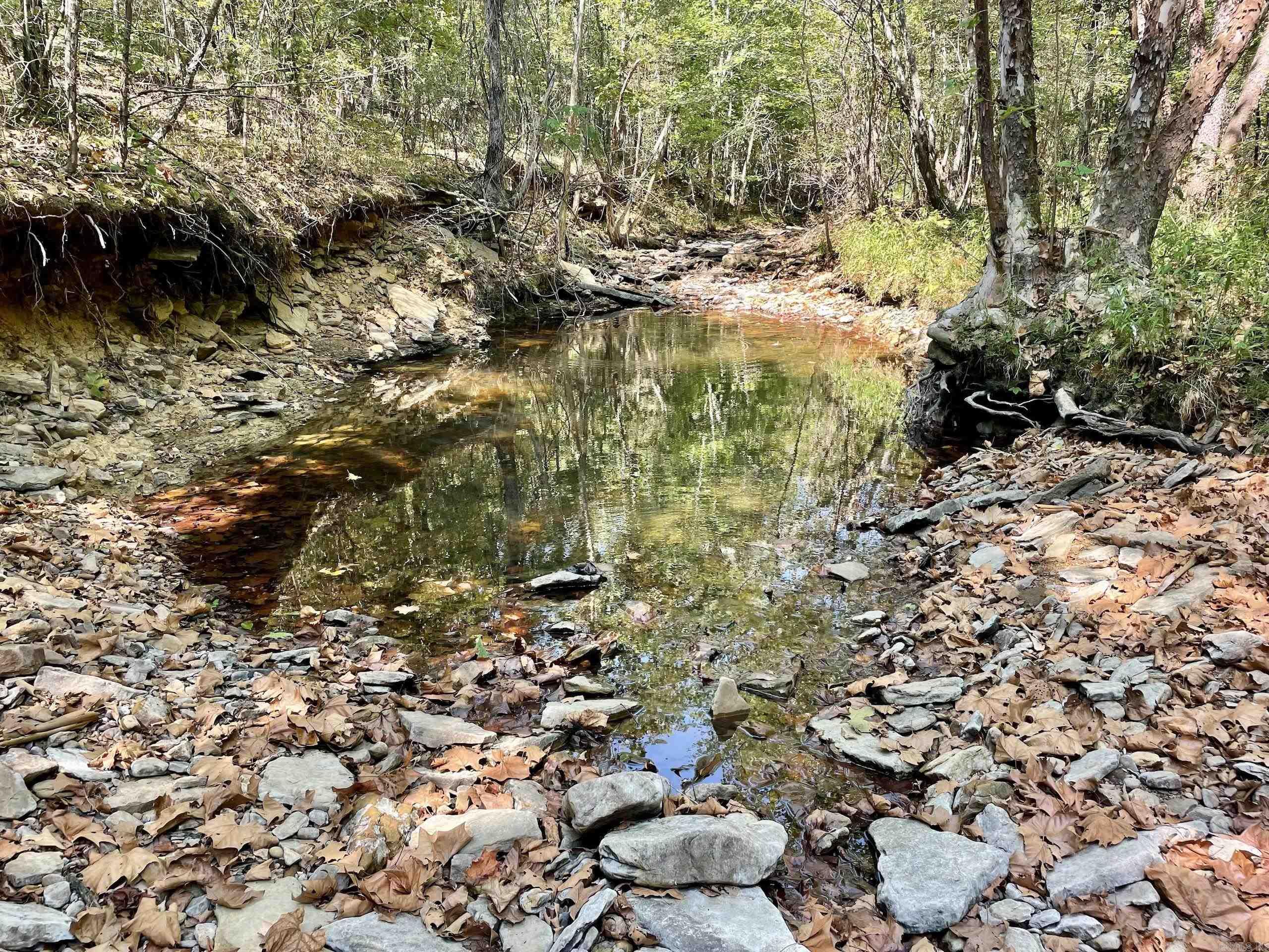 001 Brownsville Road  Higden, AR