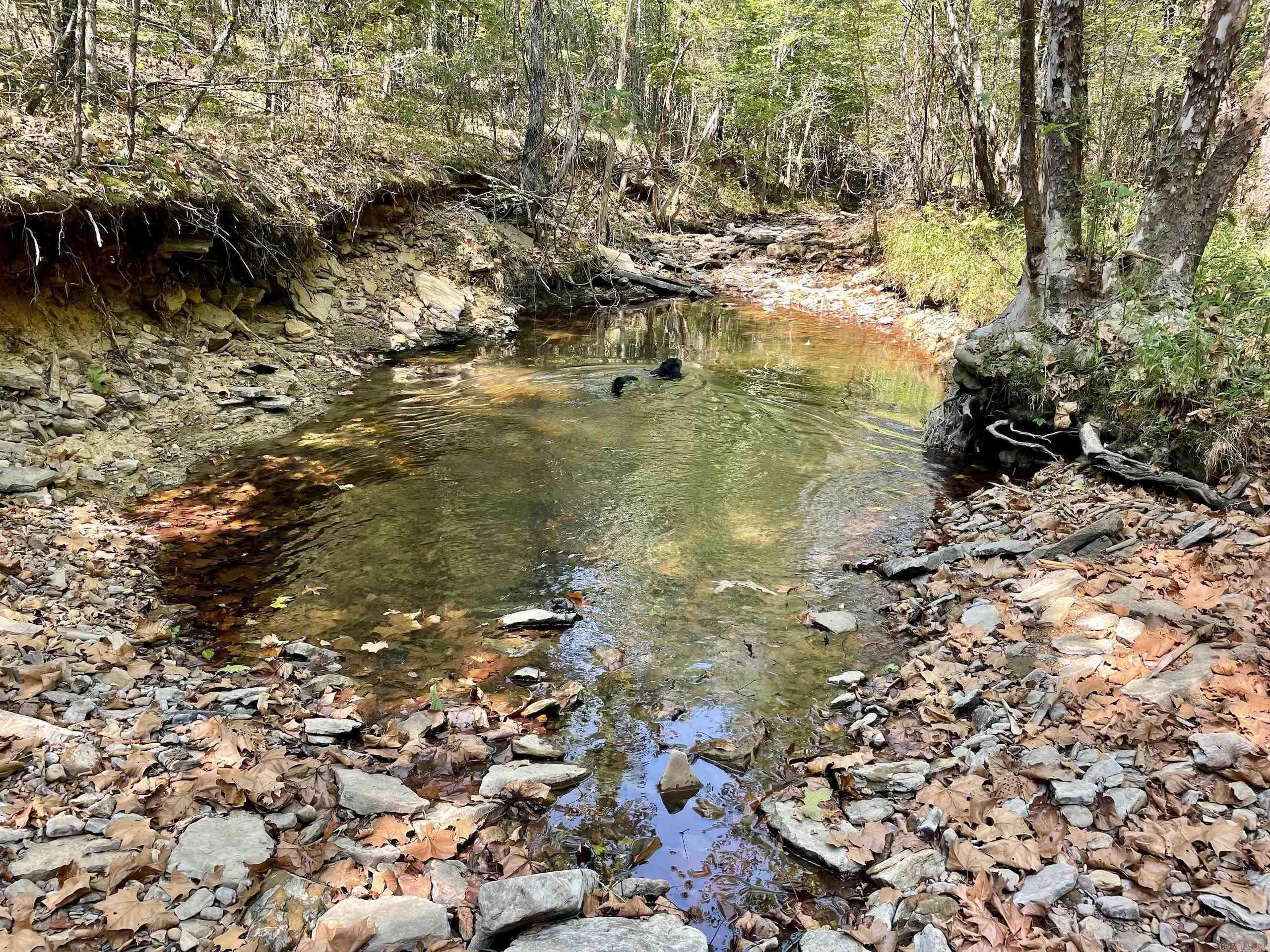 001 Brownsville Road  Higden, AR