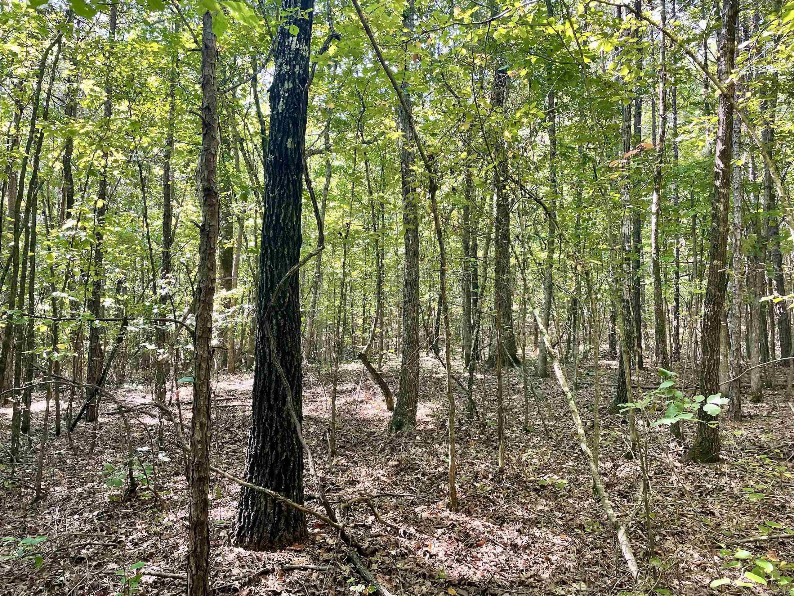 001 Brownsville Road  Higden, AR