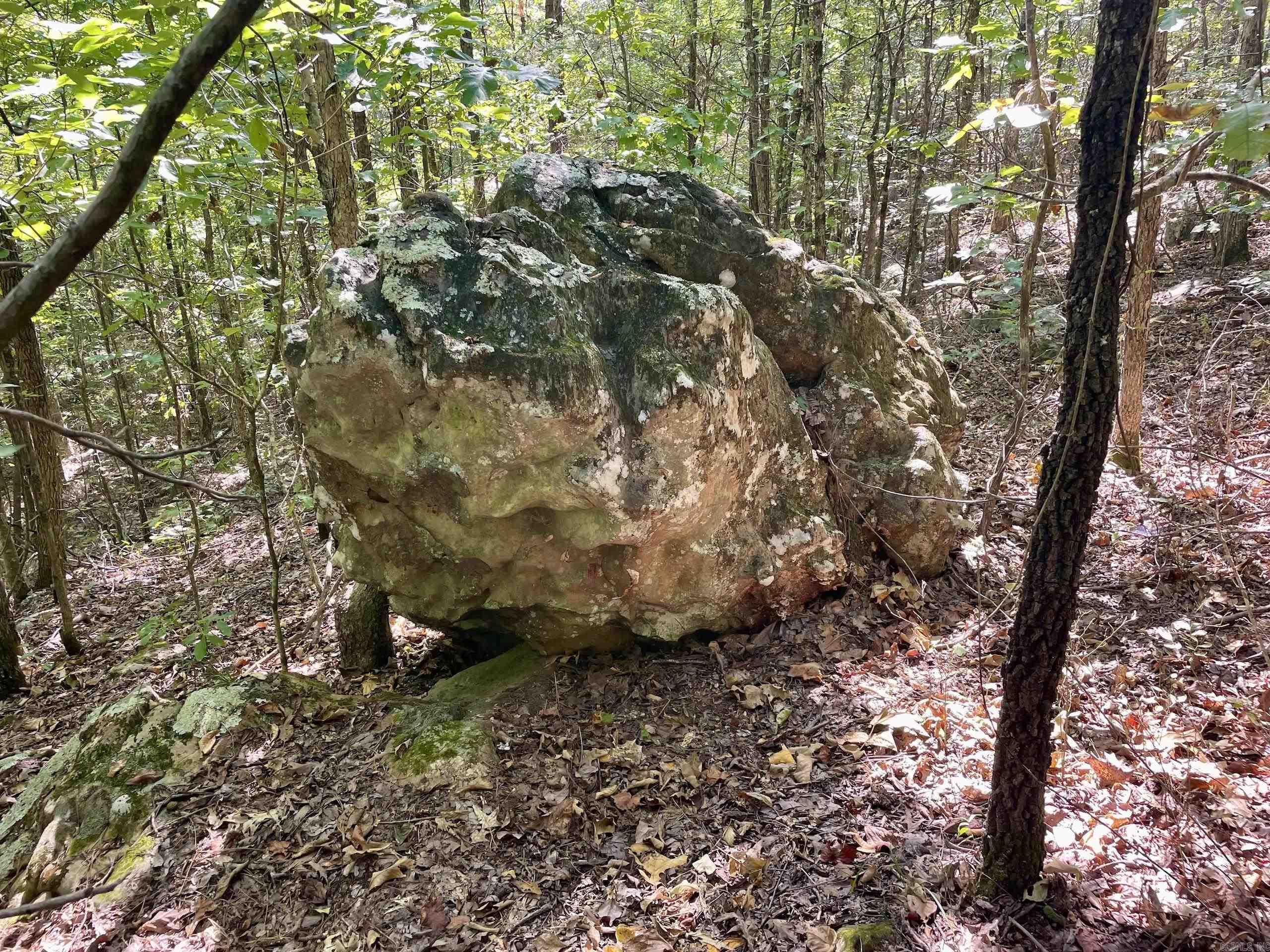 001 Brownsville Road  Higden, AR