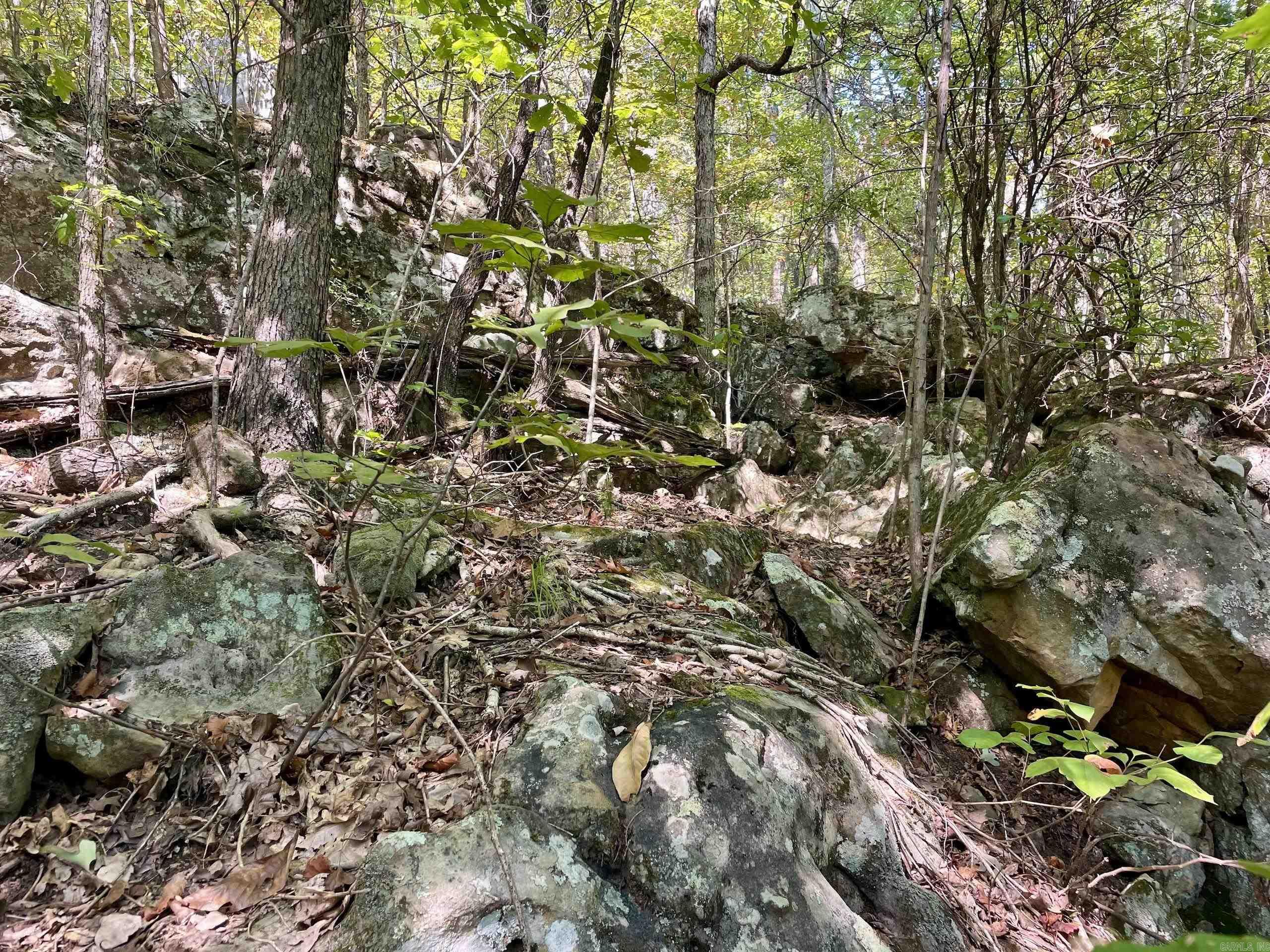 001 Brownsville Road  Higden, AR