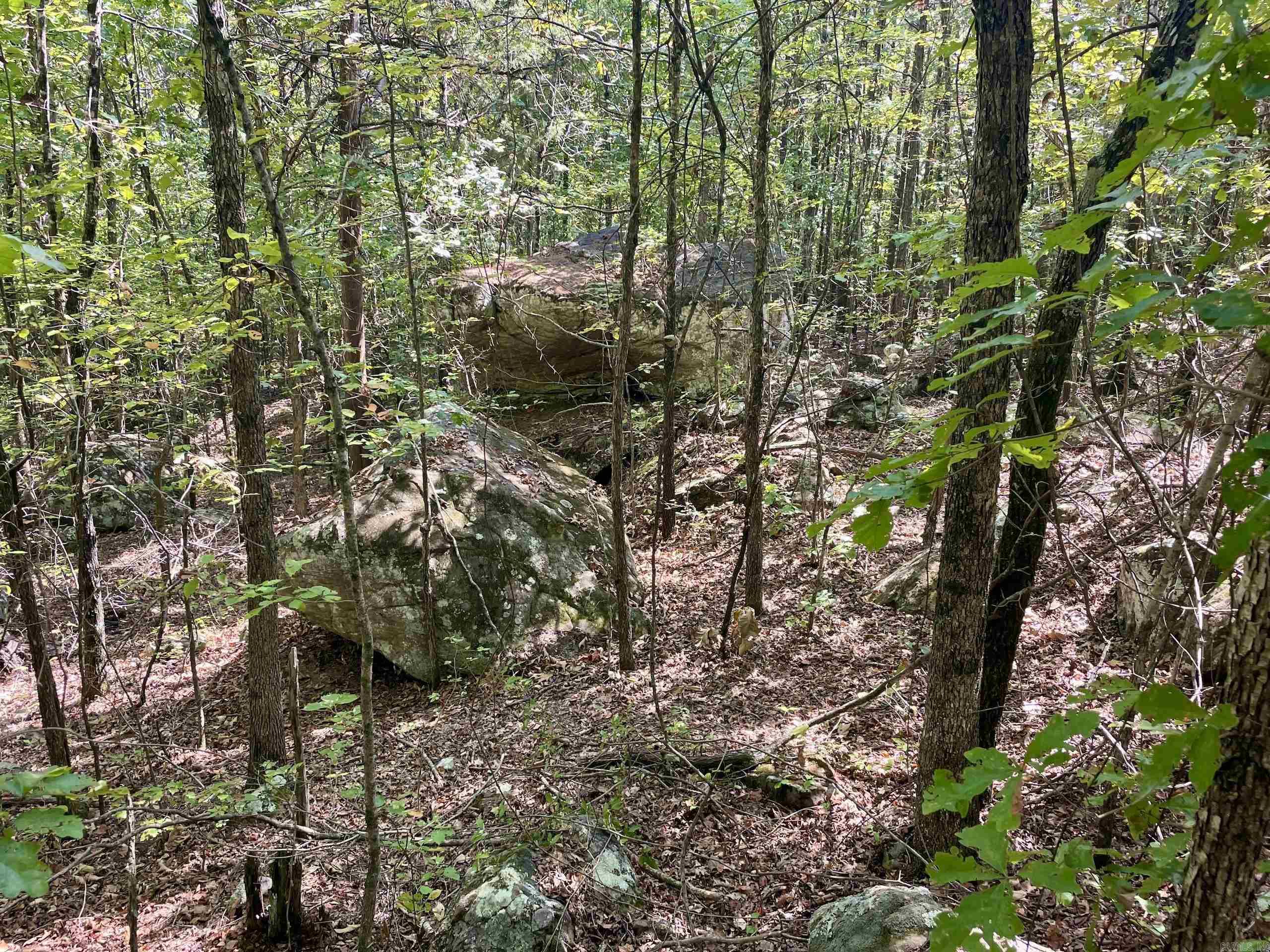 001 Brownsville Road  Higden, AR