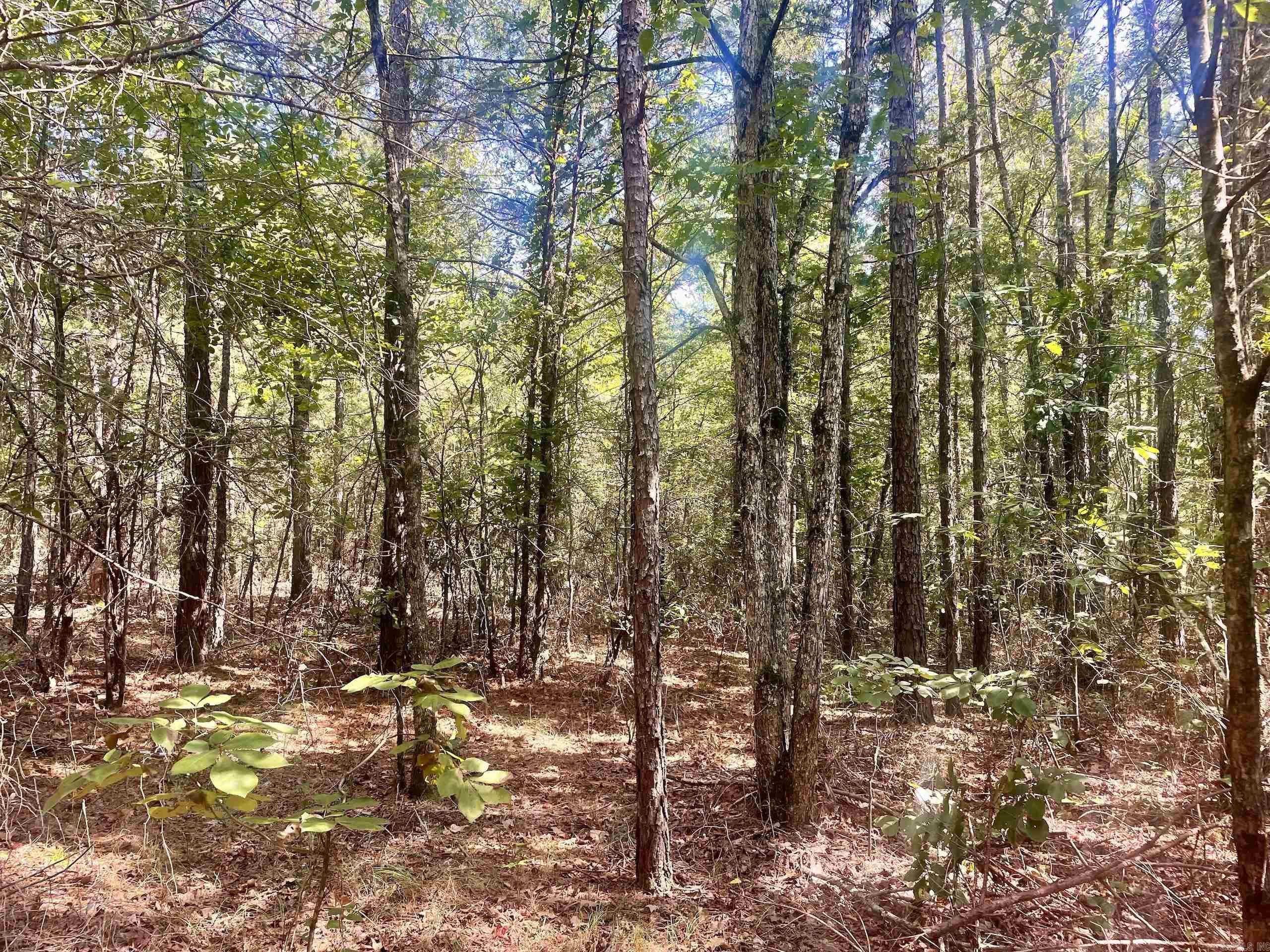 001 Brownsville Road  Higden, AR