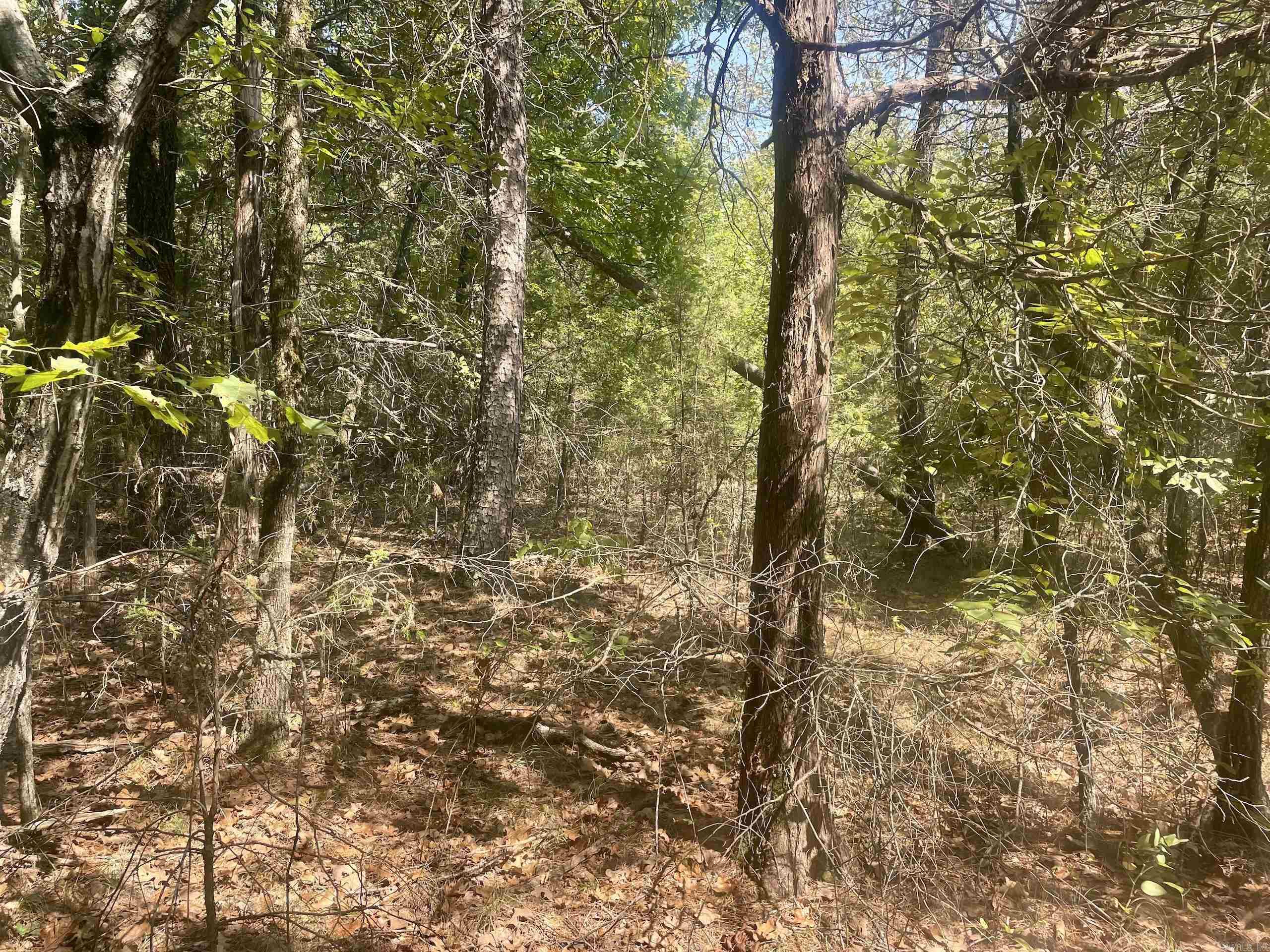 001 Brownsville Road  Higden, AR