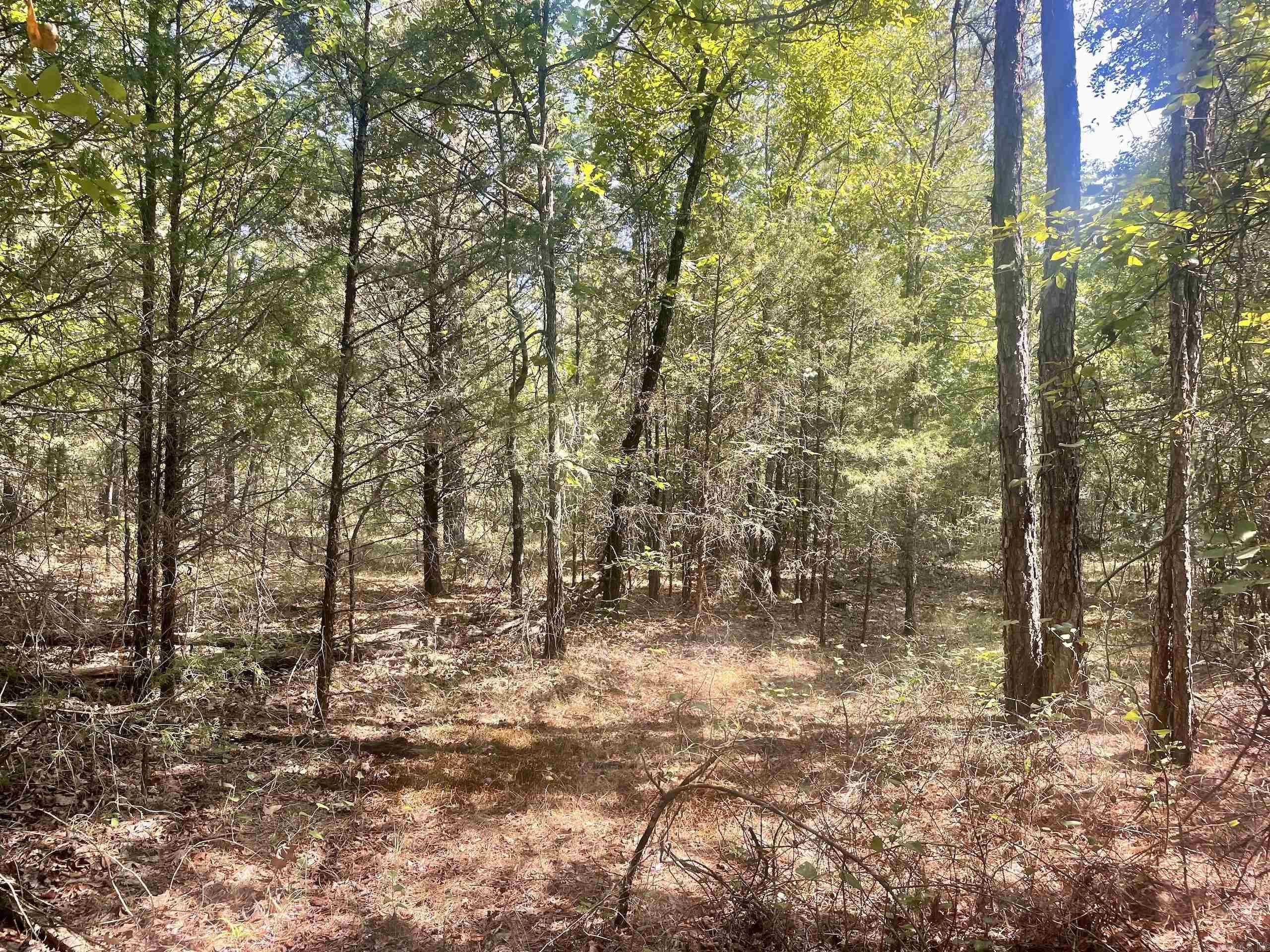 001 Brownsville Road  Higden, AR