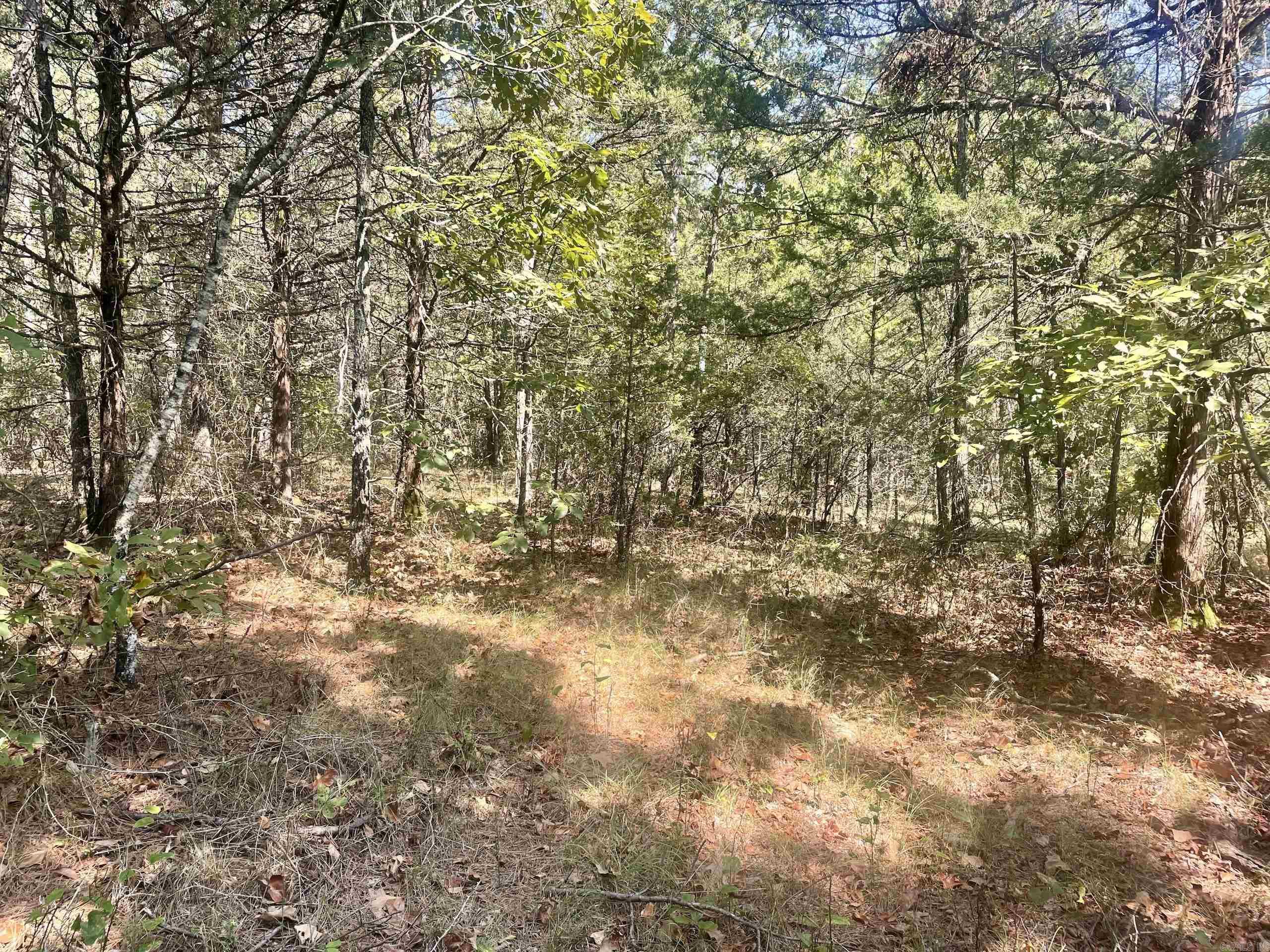 001 Brownsville Road  Higden, AR