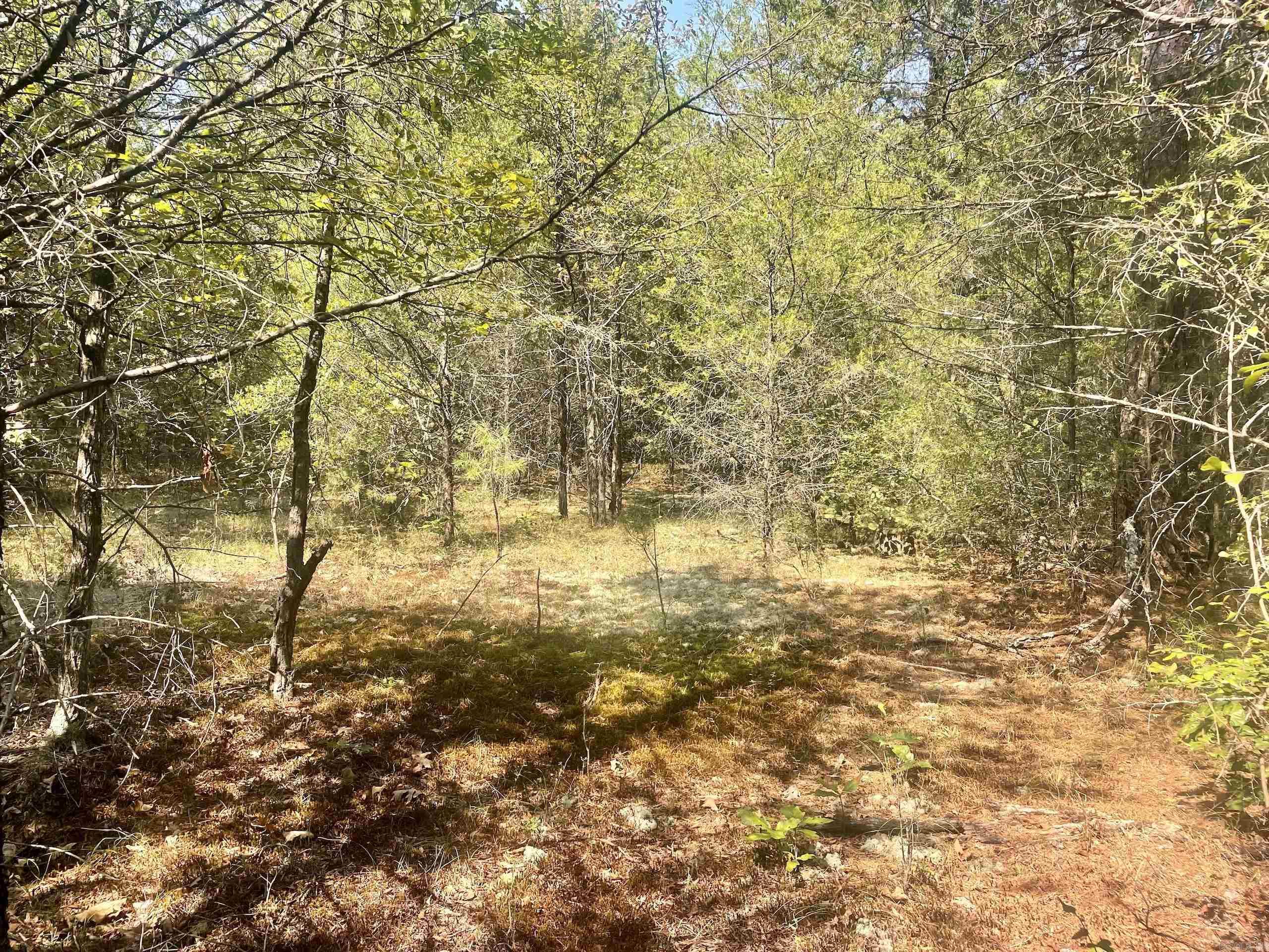 001 Brownsville Road  Higden, AR