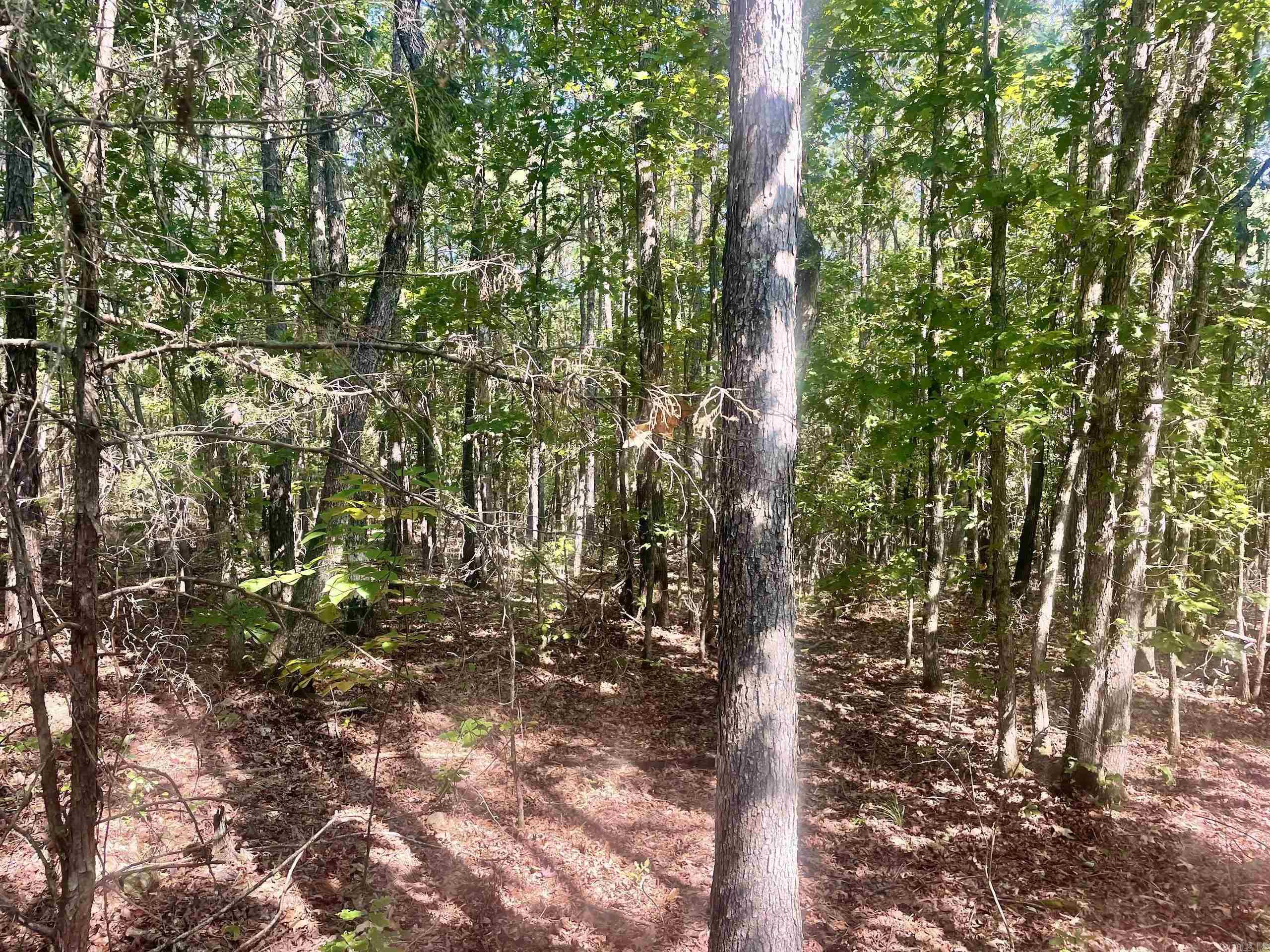 001 Brownsville Road  Higden, AR