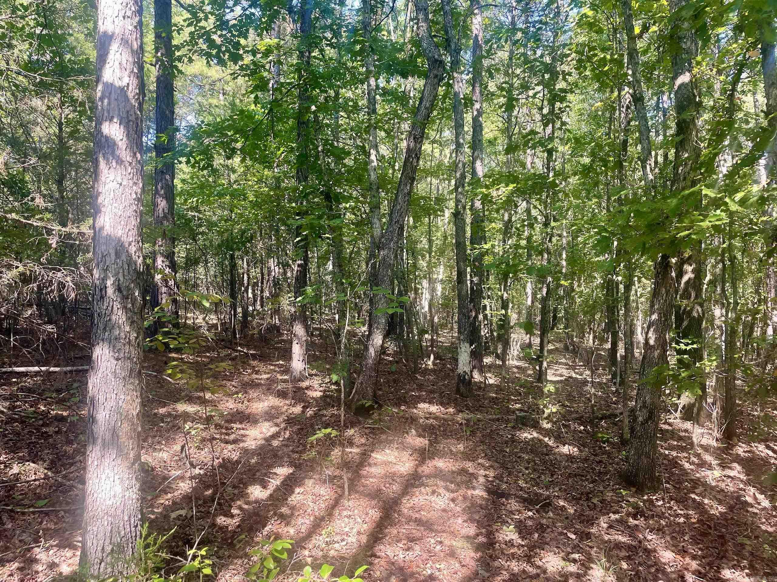 001 Brownsville Road  Higden, AR