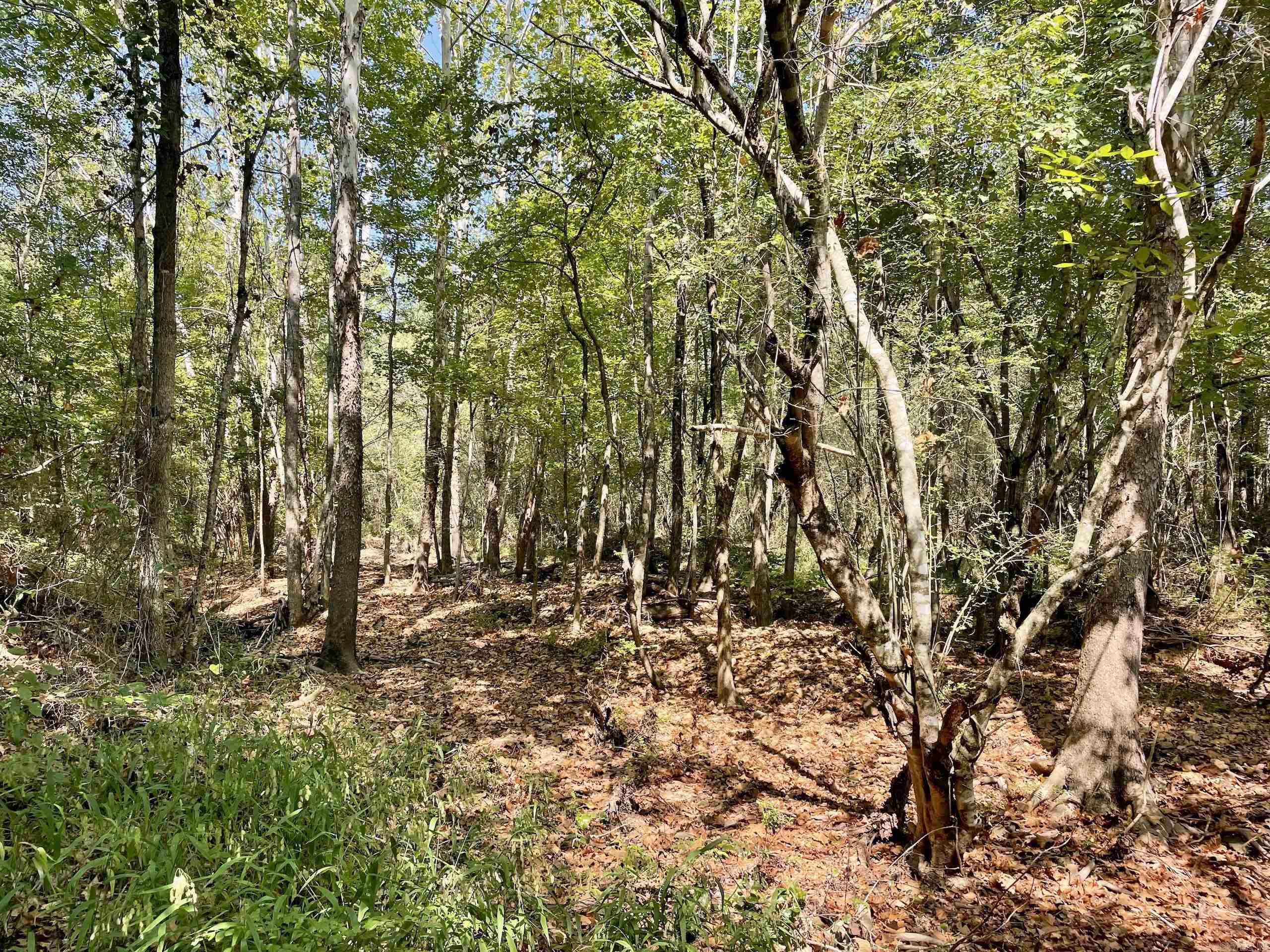 002 Brownsville Road  Higden, AR