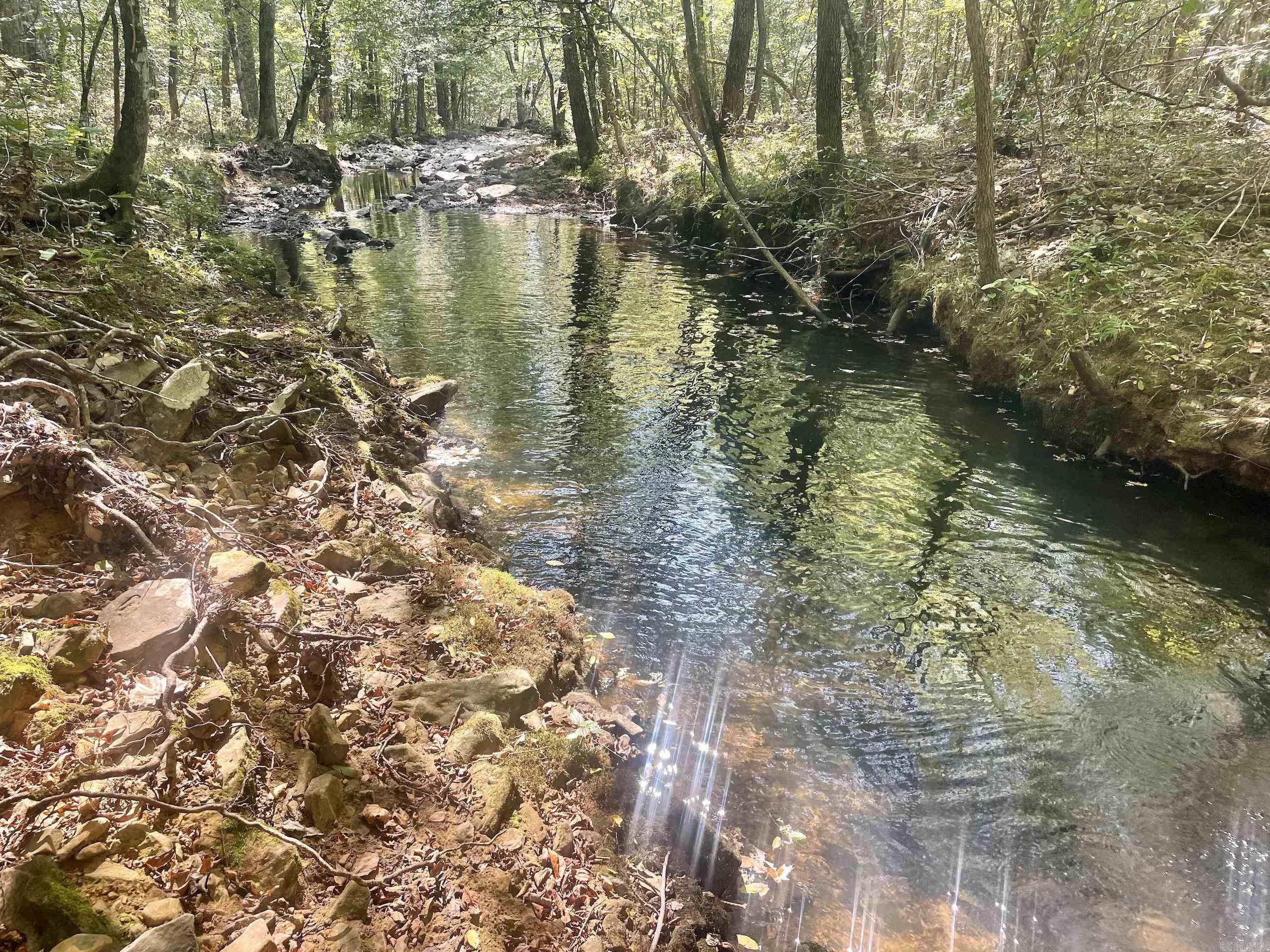 002 Brownsville Road  Higden, AR