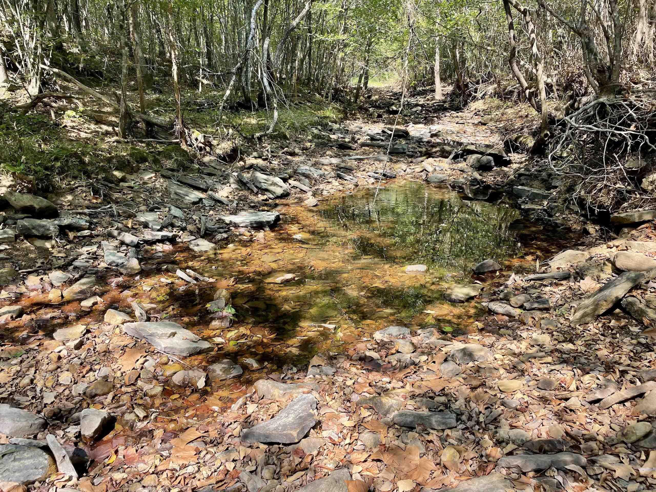 002 Brownsville Road  Higden, AR