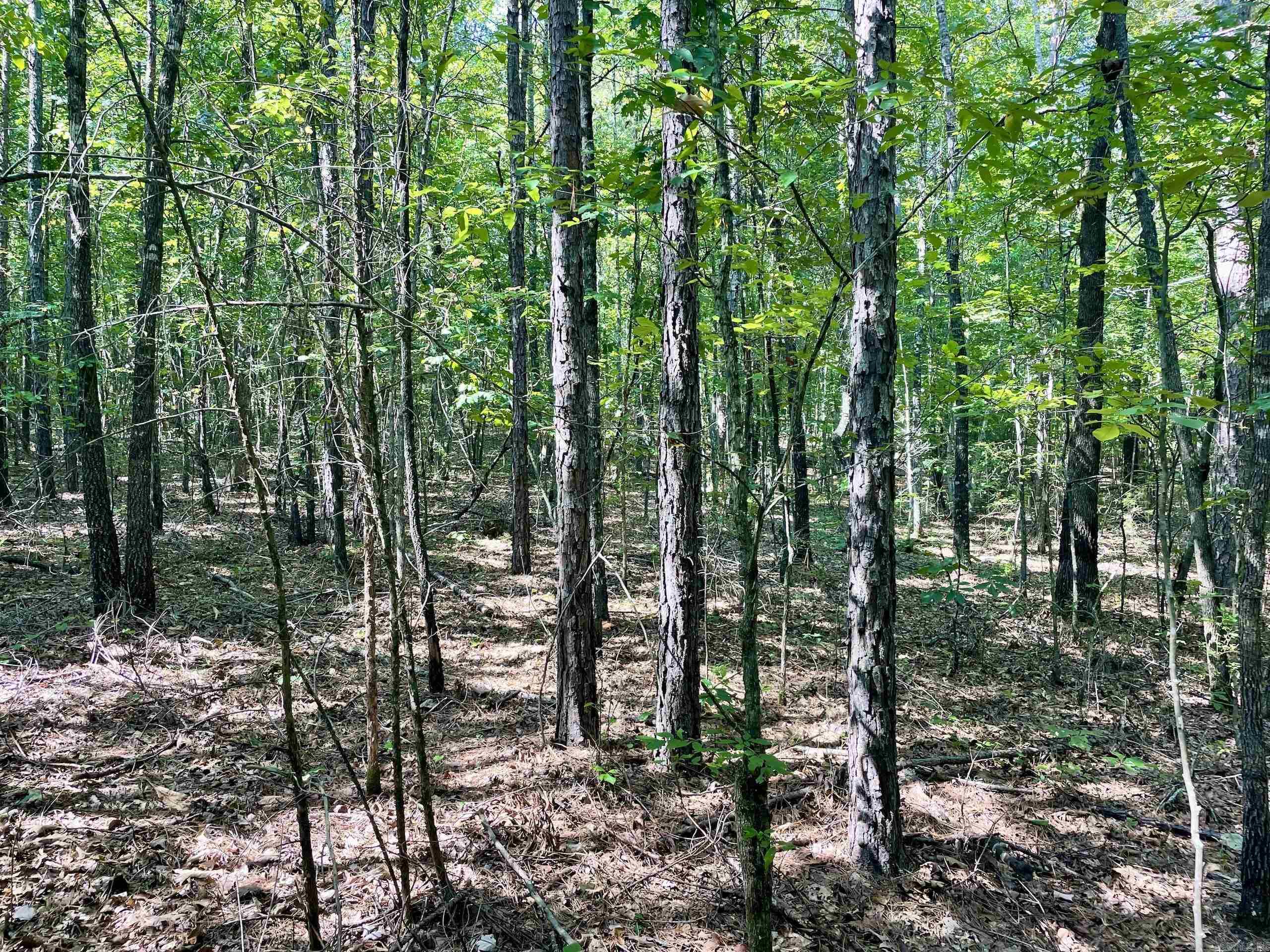 002 Brownsville Road  Higden, AR