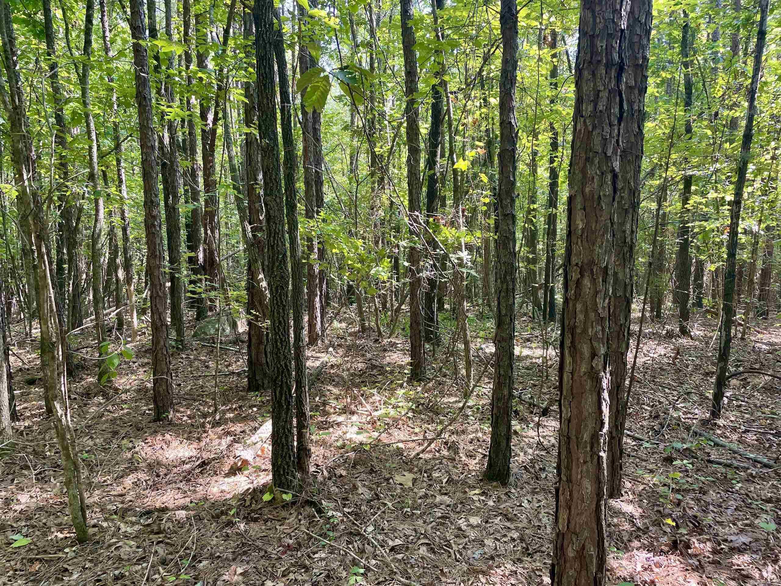 002 Brownsville Road  Higden, AR