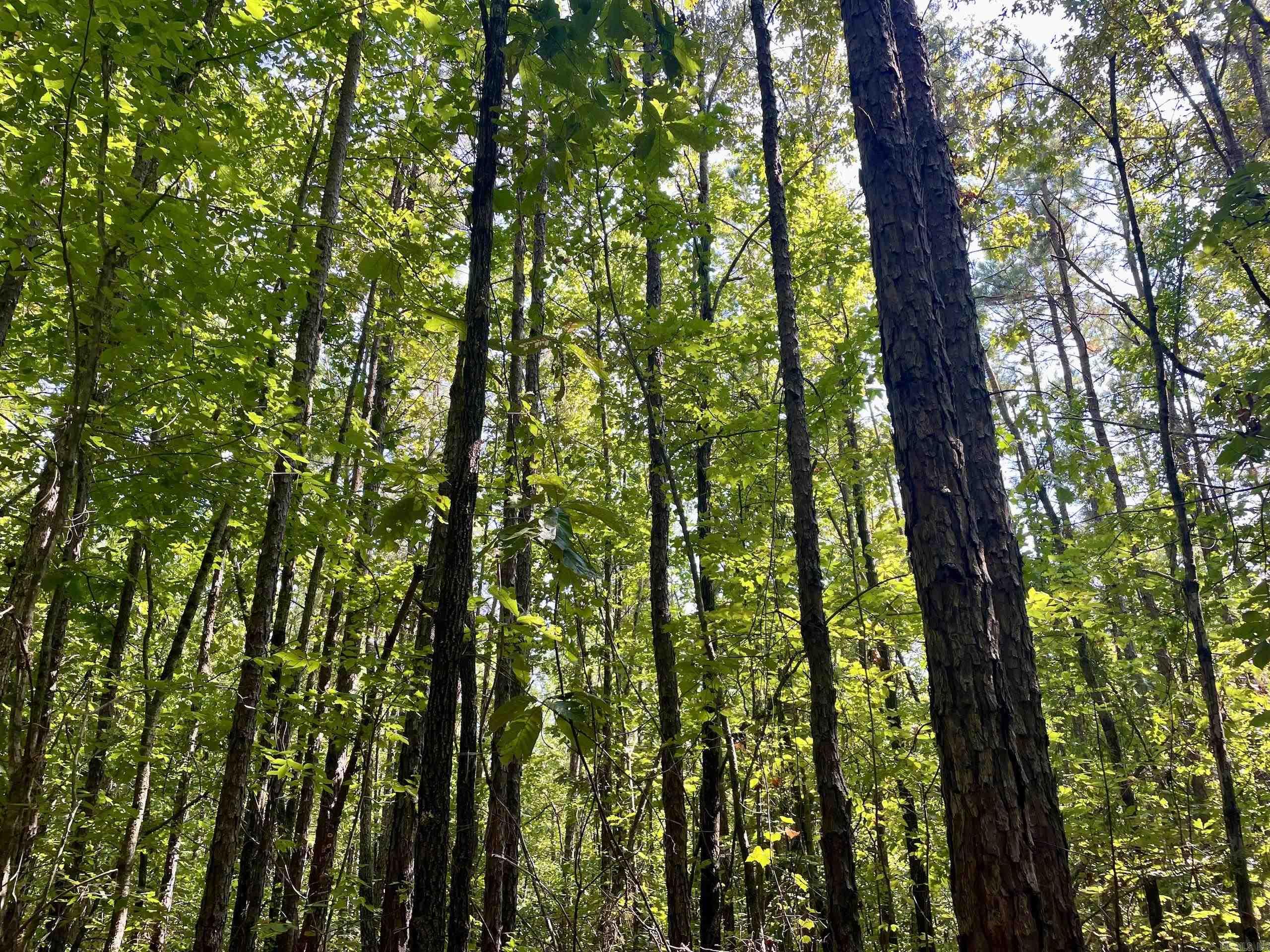 002 Brownsville Road  Higden, AR