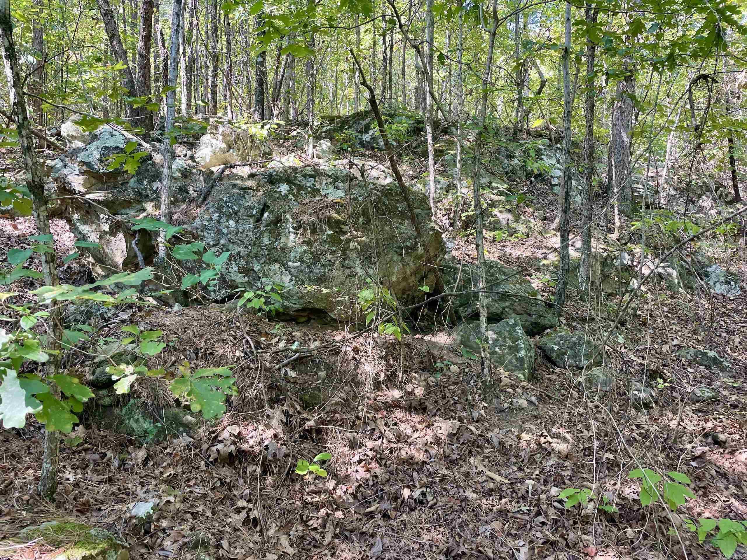 002 Brownsville Road  Higden, AR