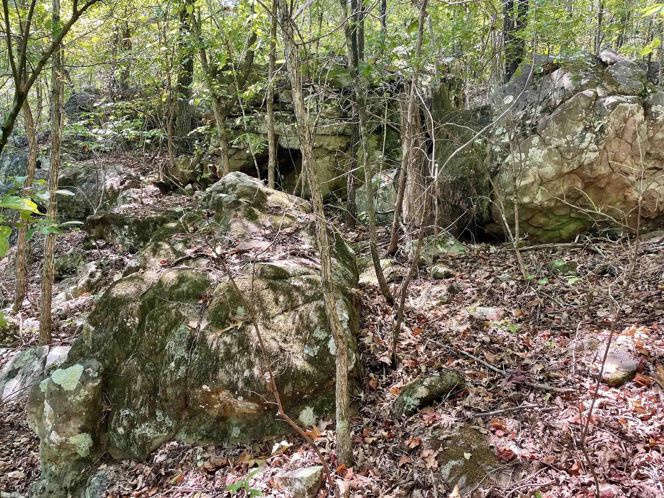 002 Brownsville Road  Higden, AR